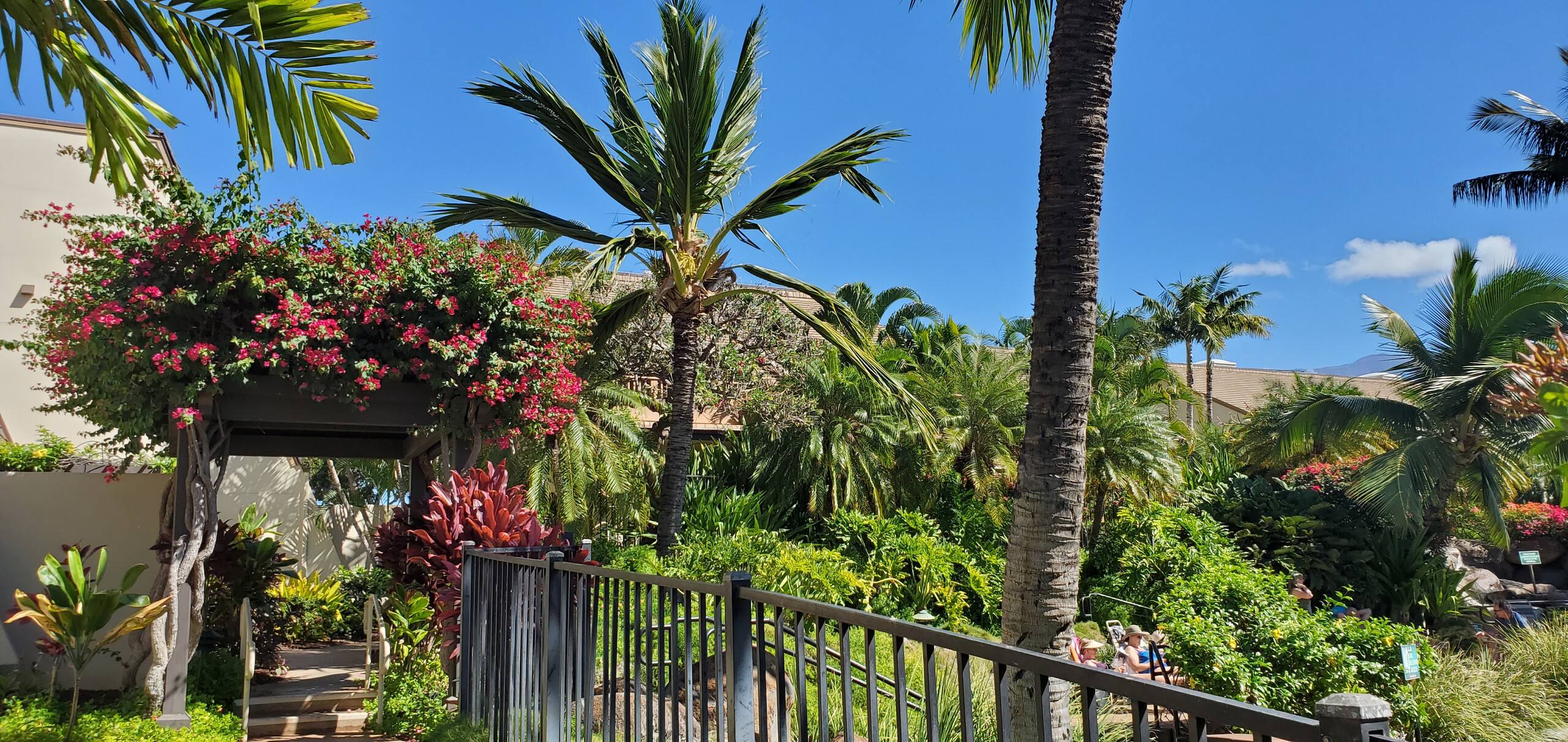 Condo in Kihei · ★4.96 · 2 bedrooms · 2 beds · 2 baths - Image 36