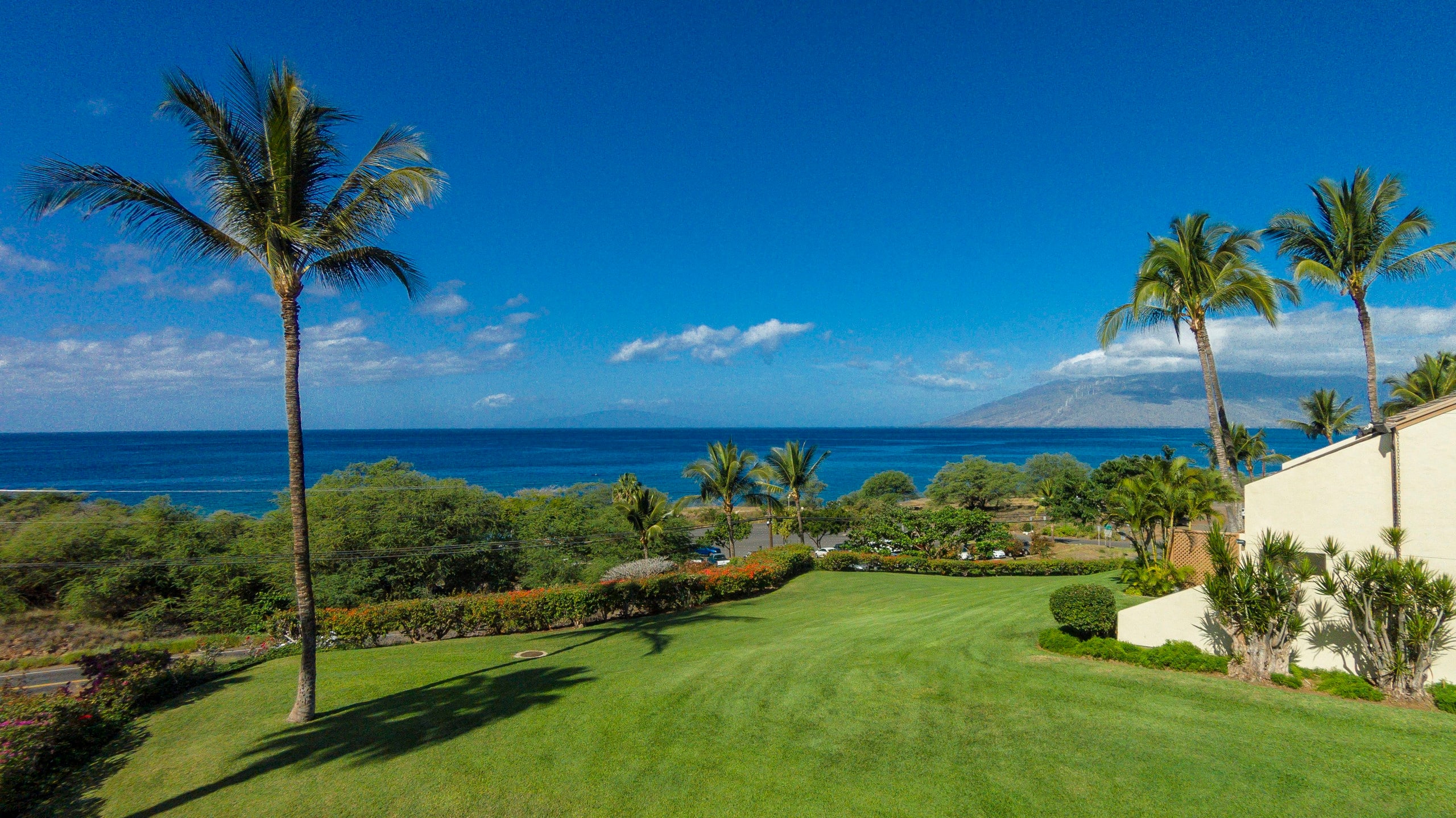 Condo in Kihei · ★4.96 · 2 bedrooms · 2 beds · 2 baths - Image 45
