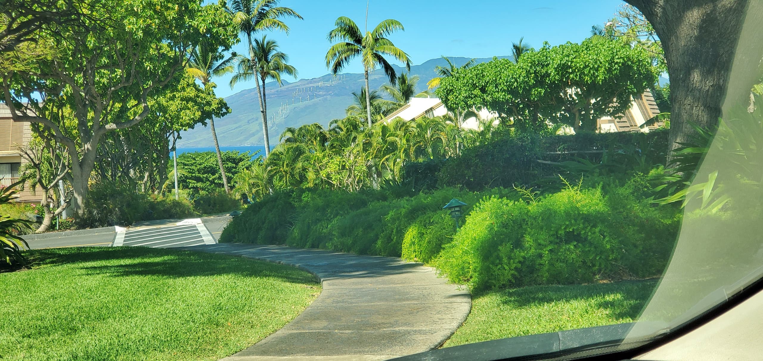 Condo in Kihei · ★4.96 · 2 bedrooms · 2 beds · 2 baths - Image 33