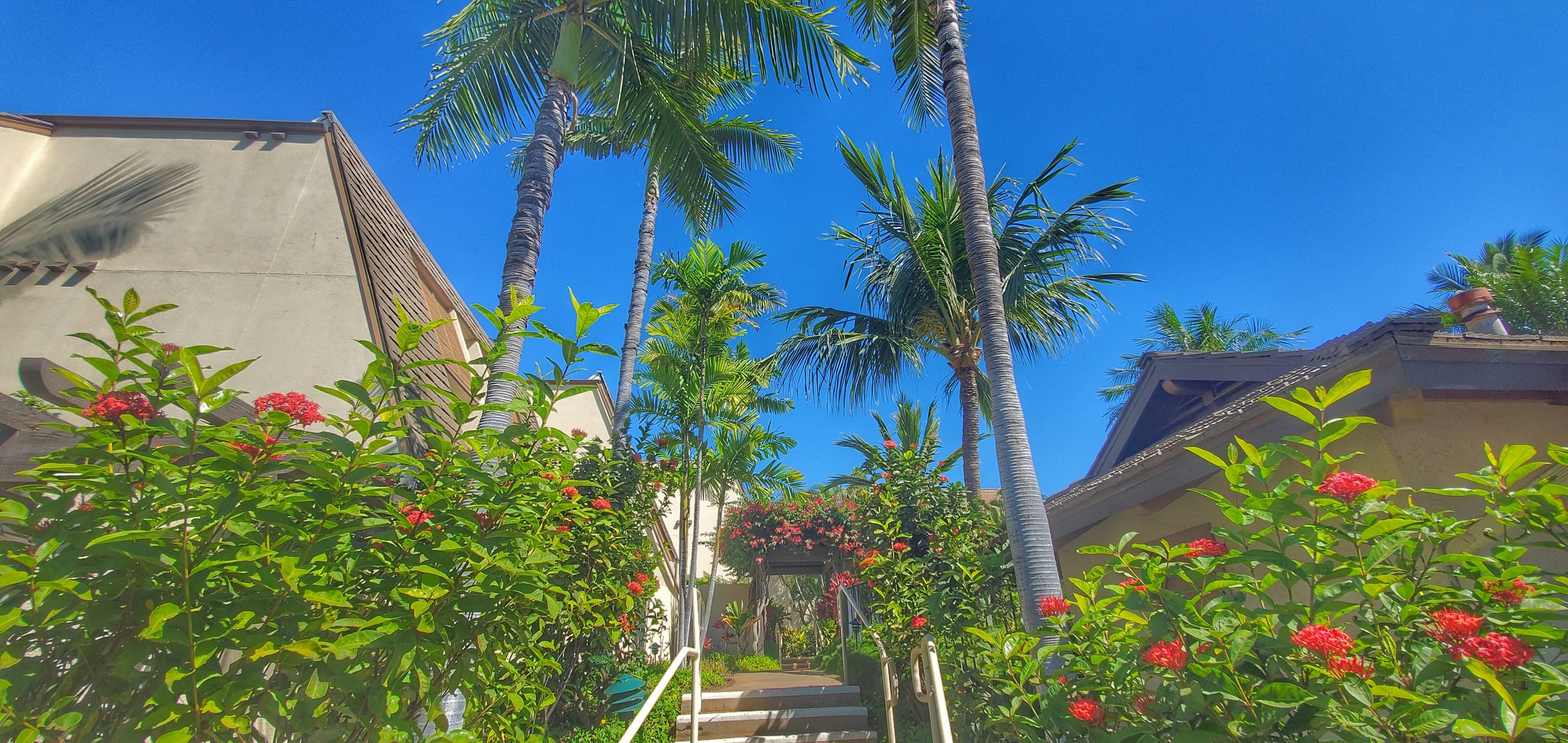 Condo in Kihei · ★4.96 · 2 bedrooms · 2 beds · 2 baths - Image 34