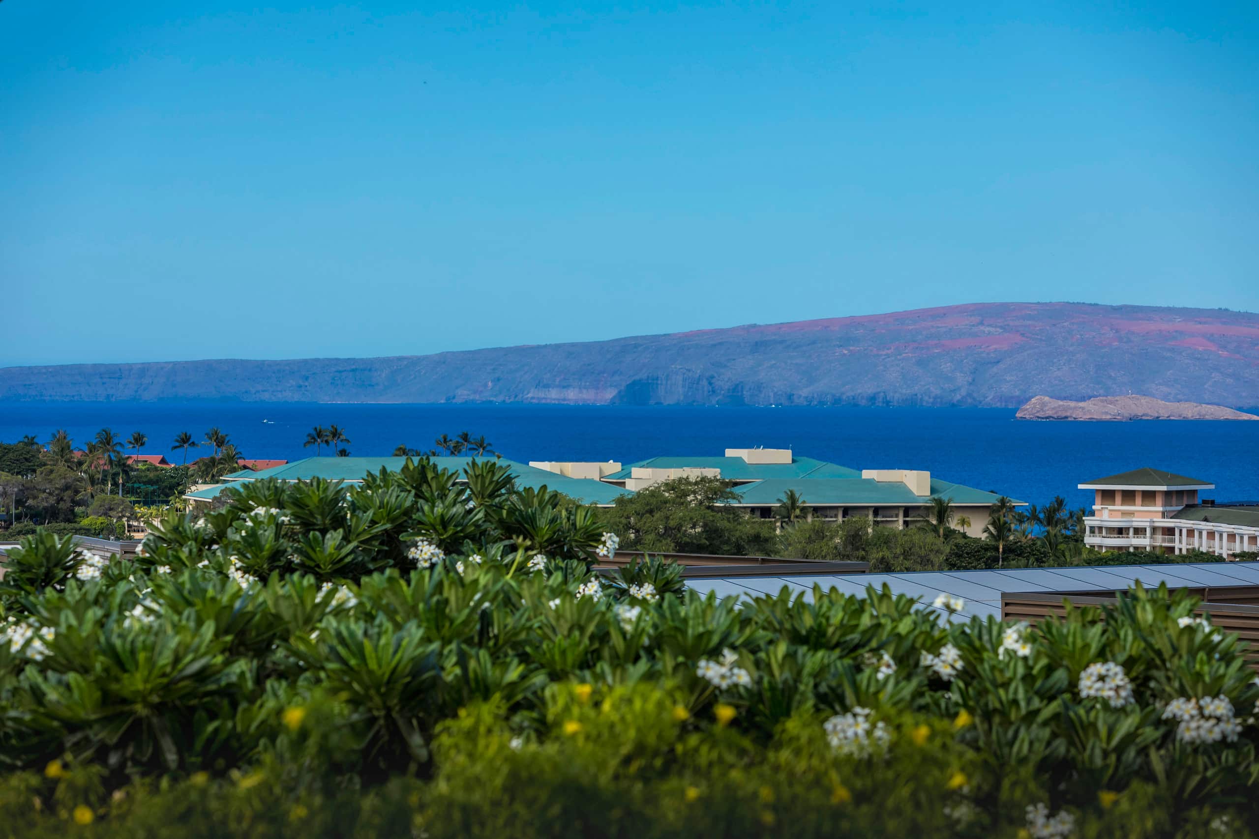 Scenic Ocean View Great Location, Full A/C WE105 - Photo 23