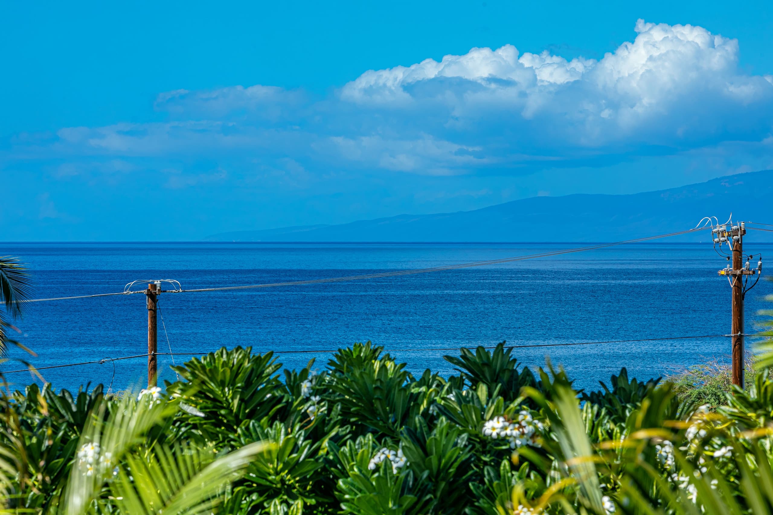Condo in Kihei · ★4.8 · 2 bedrooms · 4 beds · 2 private baths - Image 27