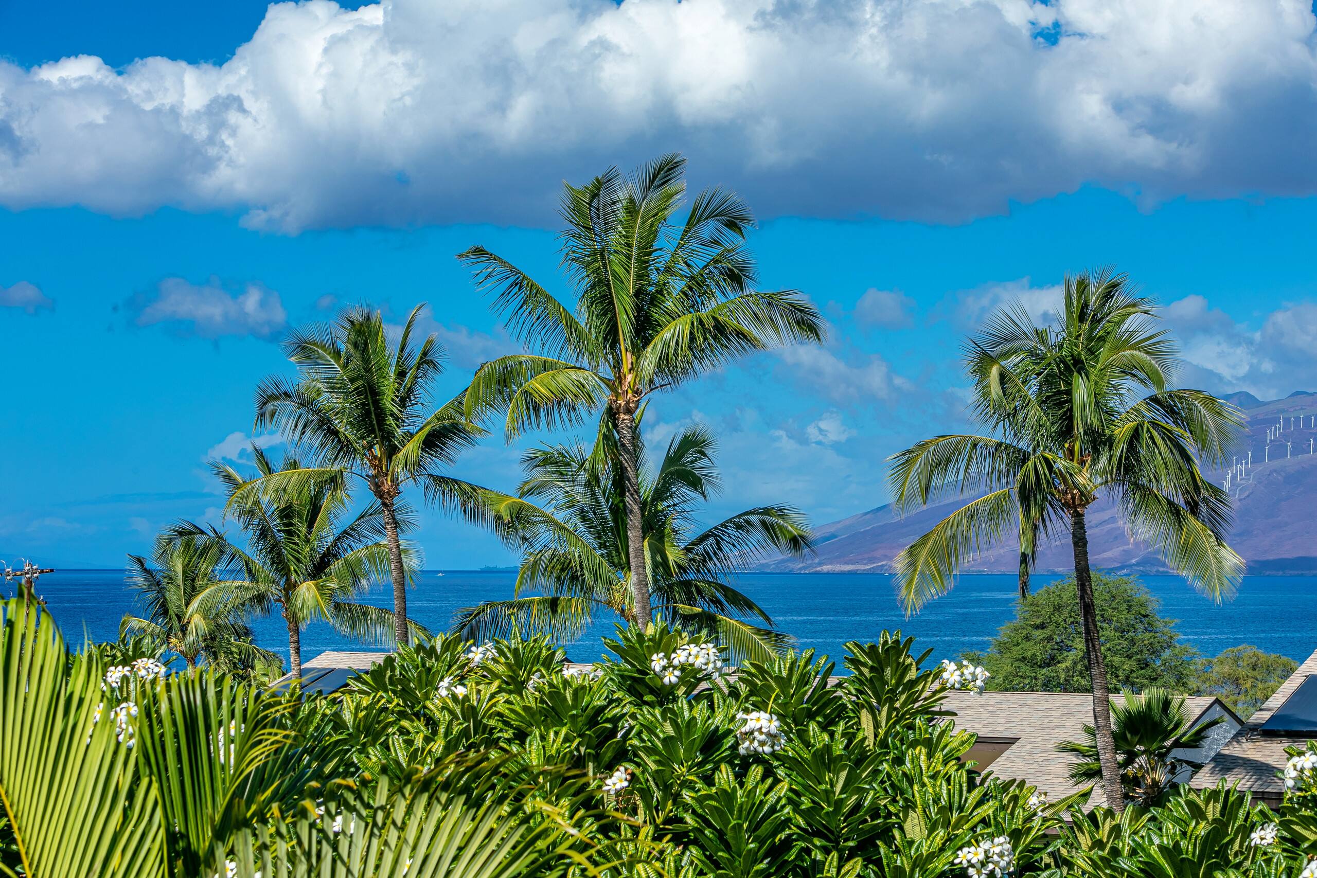 Condo in Kihei · ★4.8 · 2 bedrooms · 4 beds · 2 private baths - Image 28