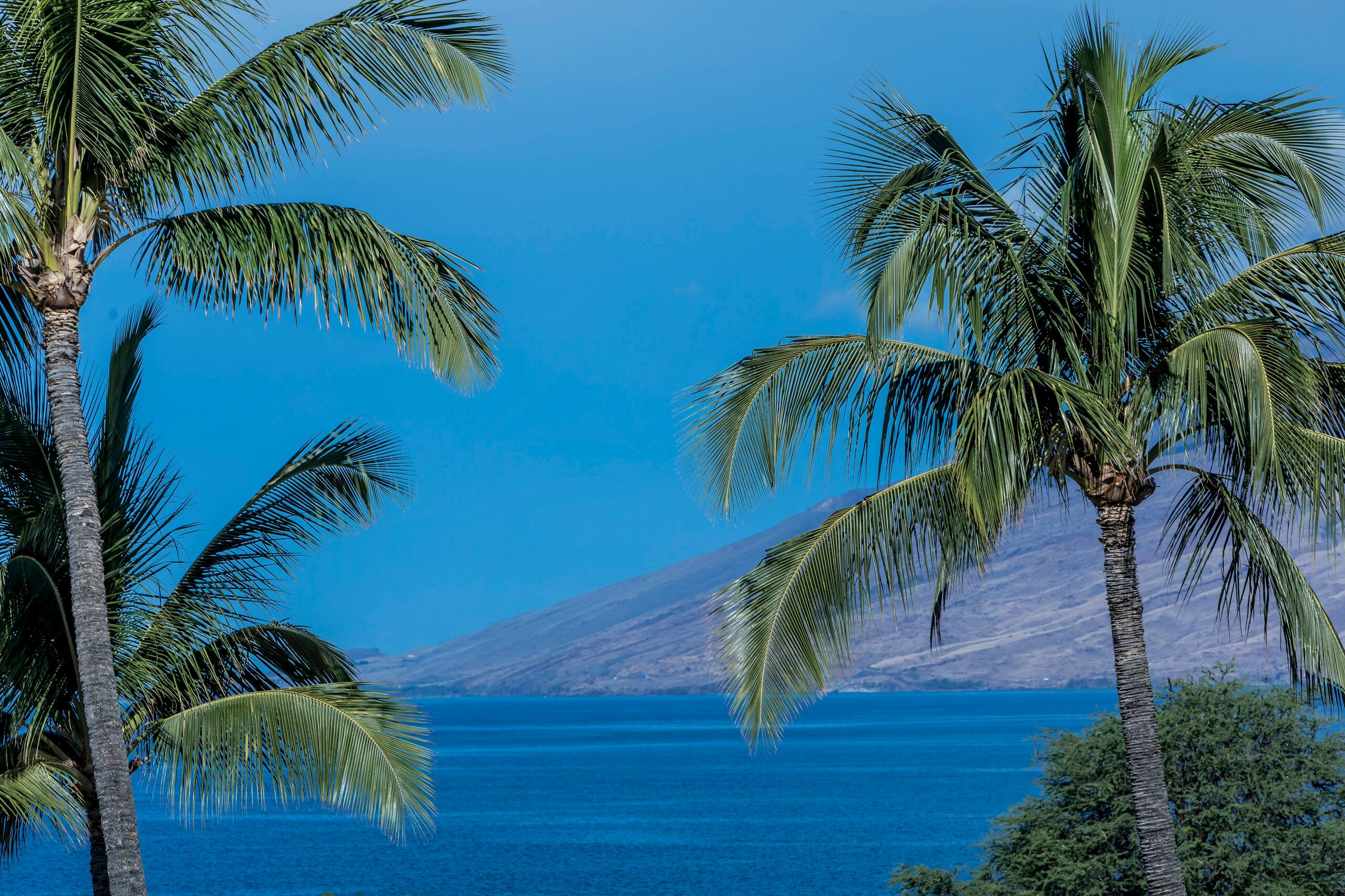 Condo in Kihei · ★4.8 · 2 bedrooms · 4 beds · 2 private baths - Image 46