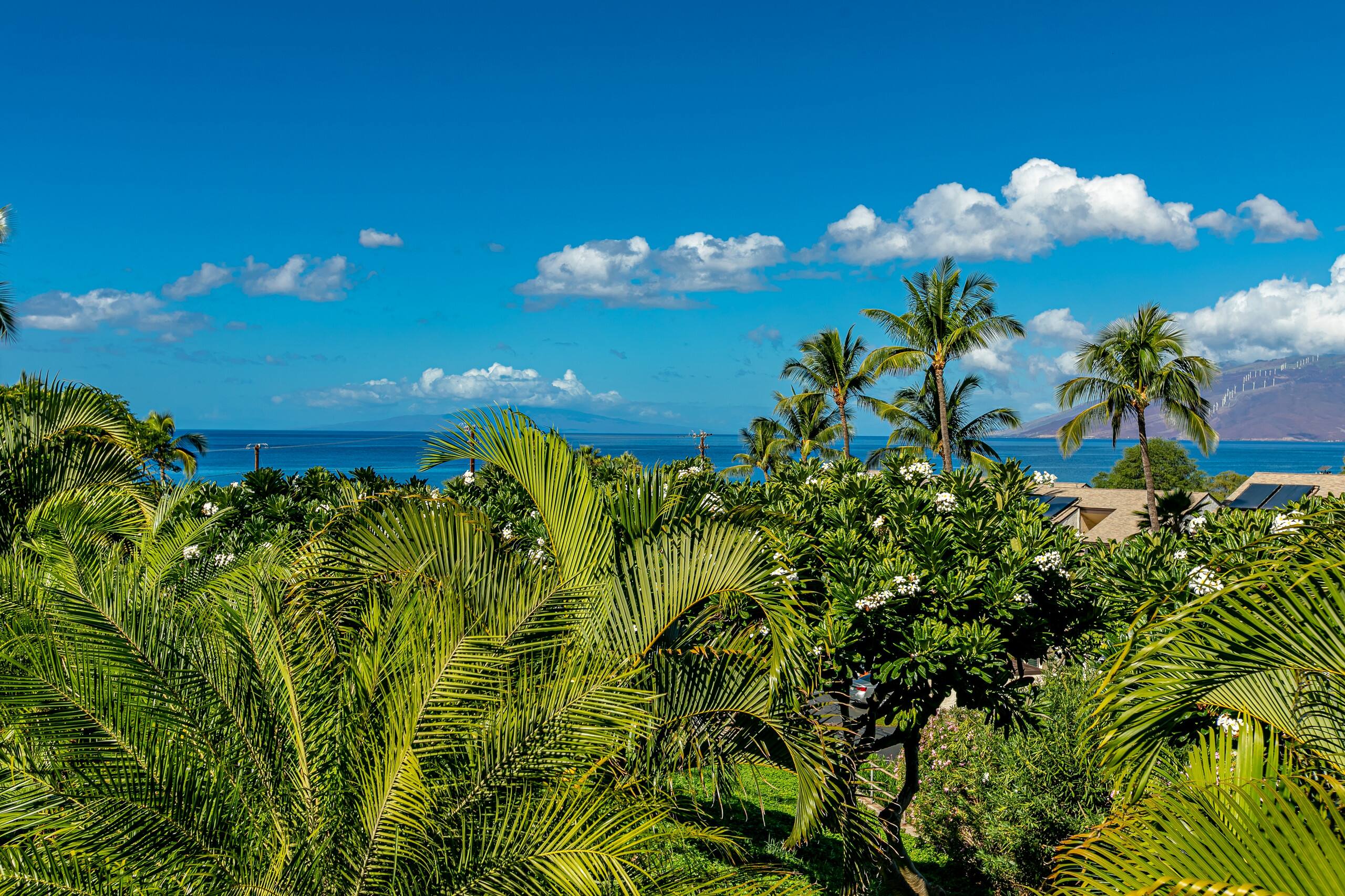 Condo in Kihei · ★4.8 · 2 bedrooms · 4 beds · 2 private baths - Image 26
