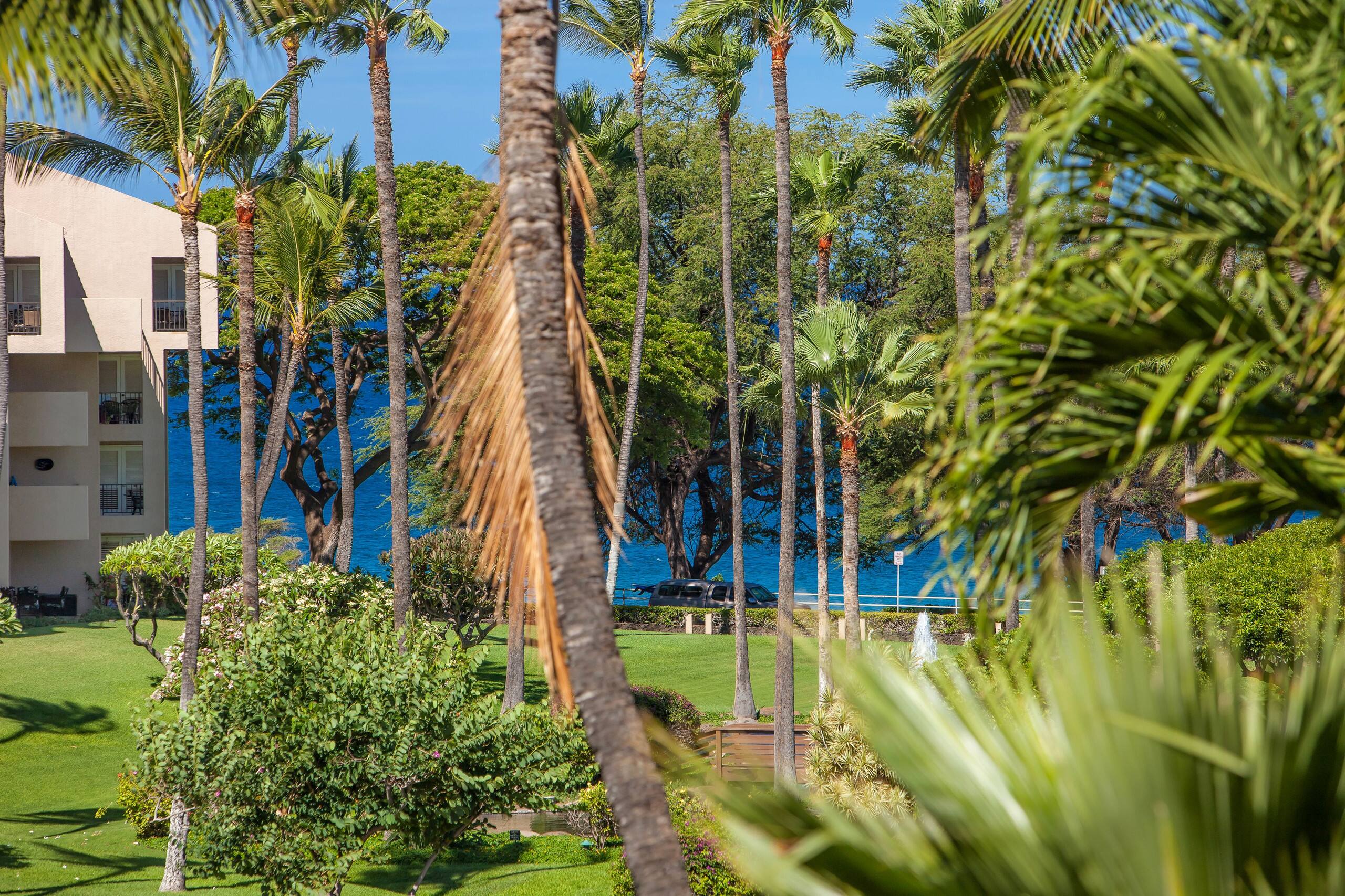 Condo in Kihei · ★4.67 · 1 bedroom · 2 beds · 2 private baths - Image 26