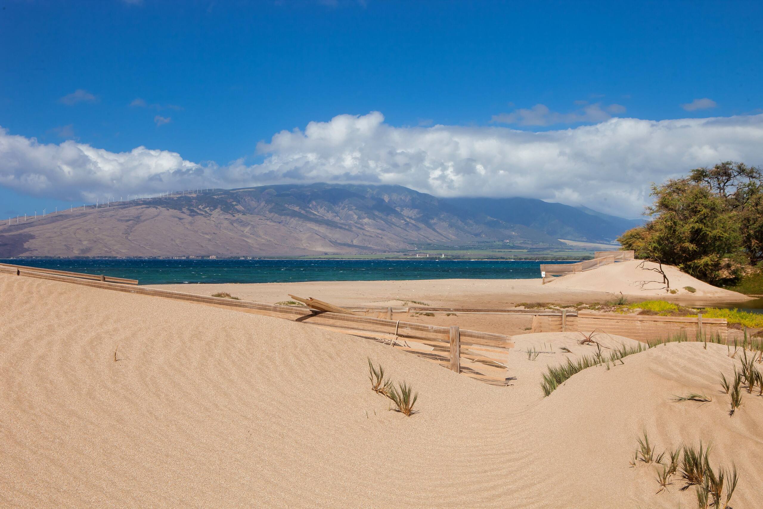 Condo in Kihei · ★5.0 · Studio · 2 beds · 1 bath - Image 21