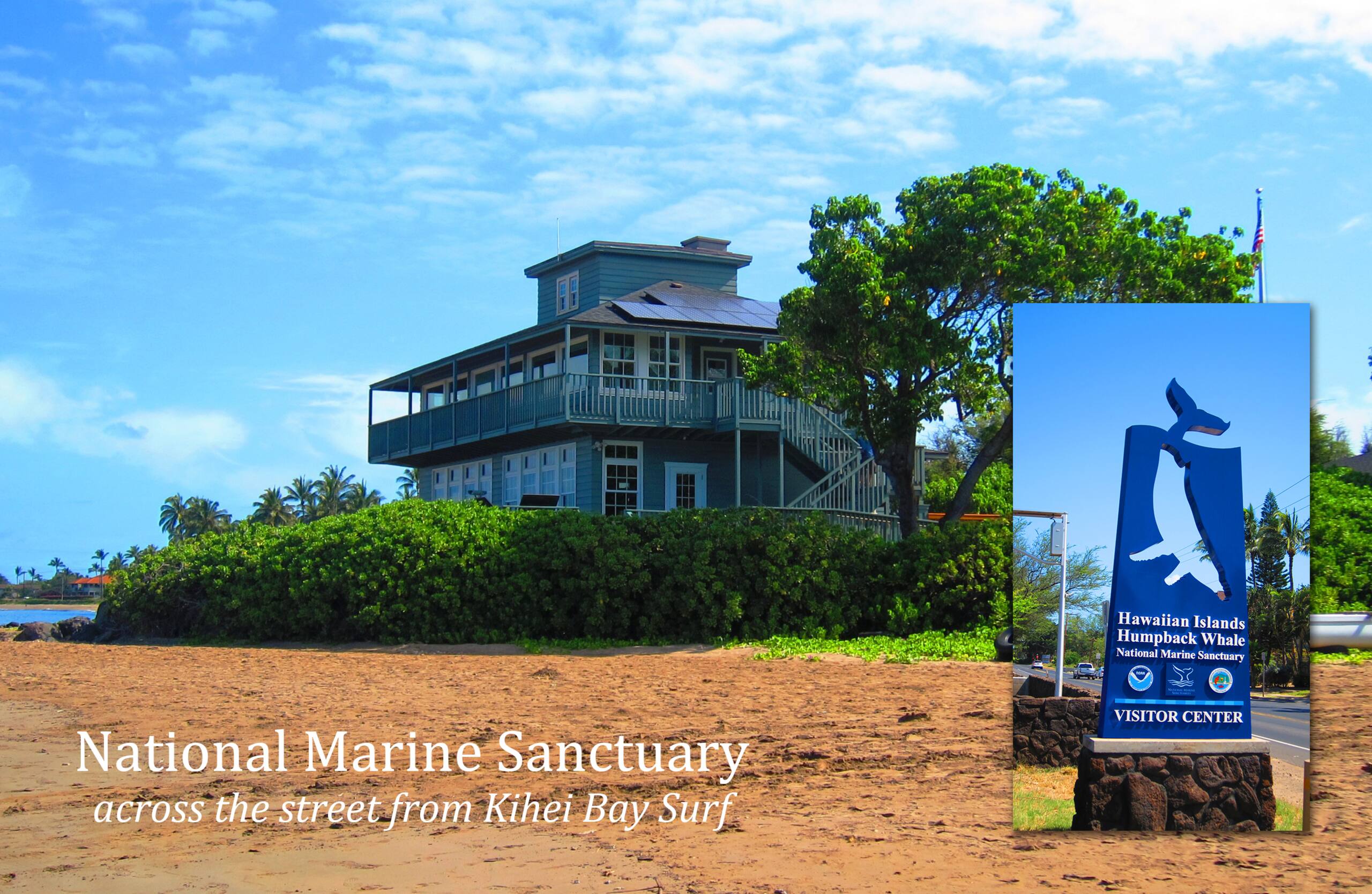 Condo in Kihei · ★5.0 · Studio · 2 beds · 1 bath - Image 27