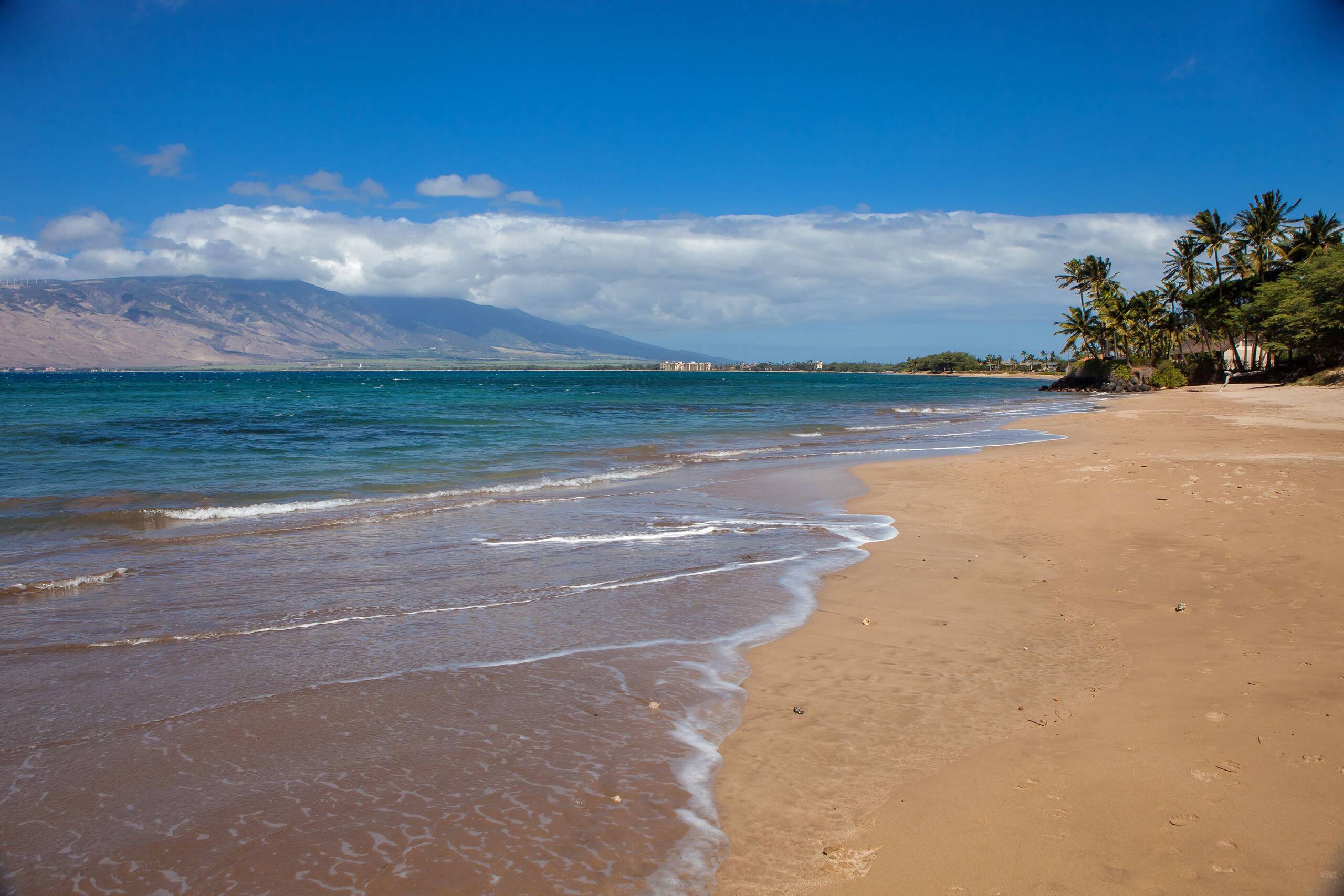 Condo in Kihei · ★5.0 · Studio · 2 beds · 1 bath - Image 23