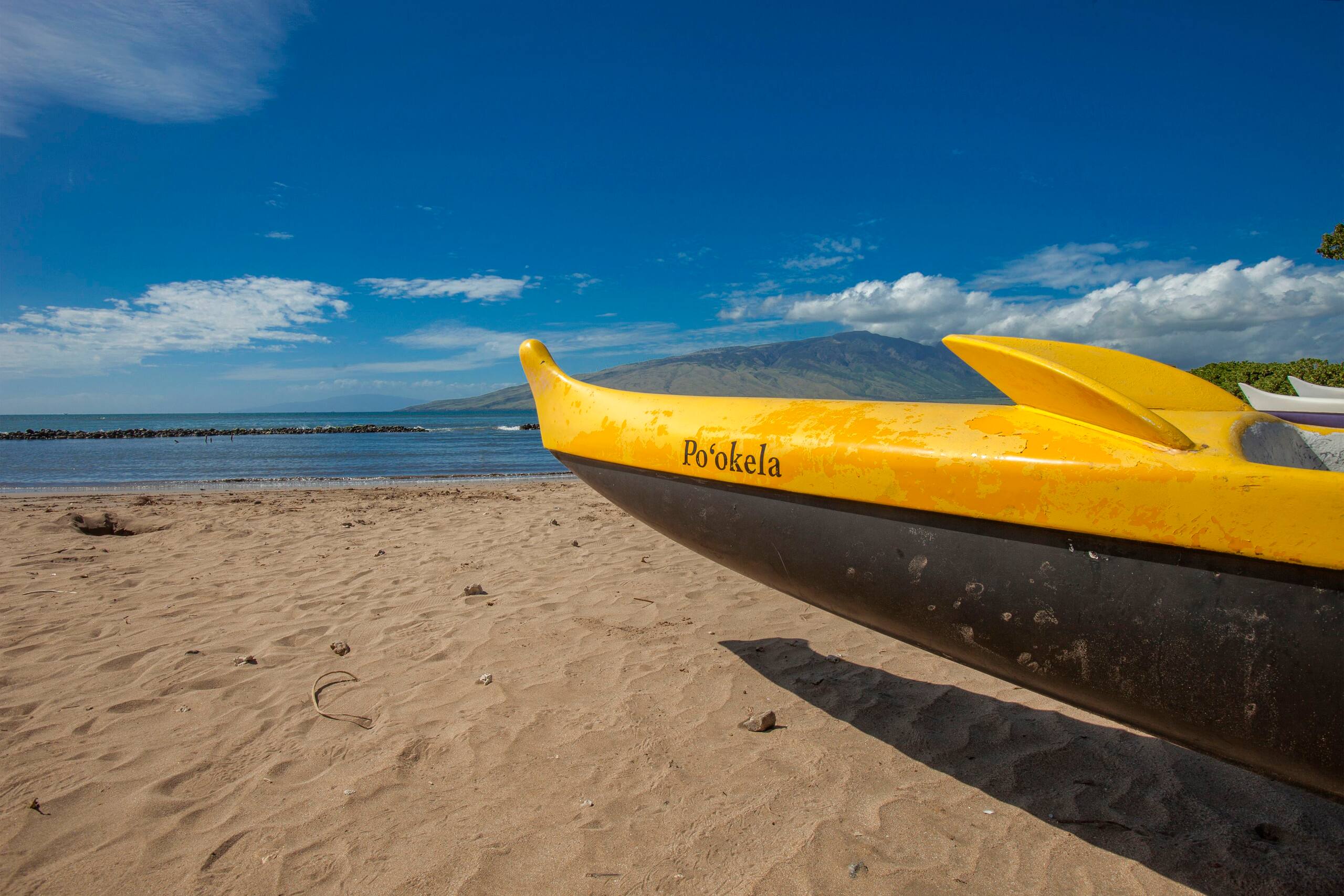 Condo in Kihei · ★5.0 · Studio · 2 beds · 1 bath - Image 26