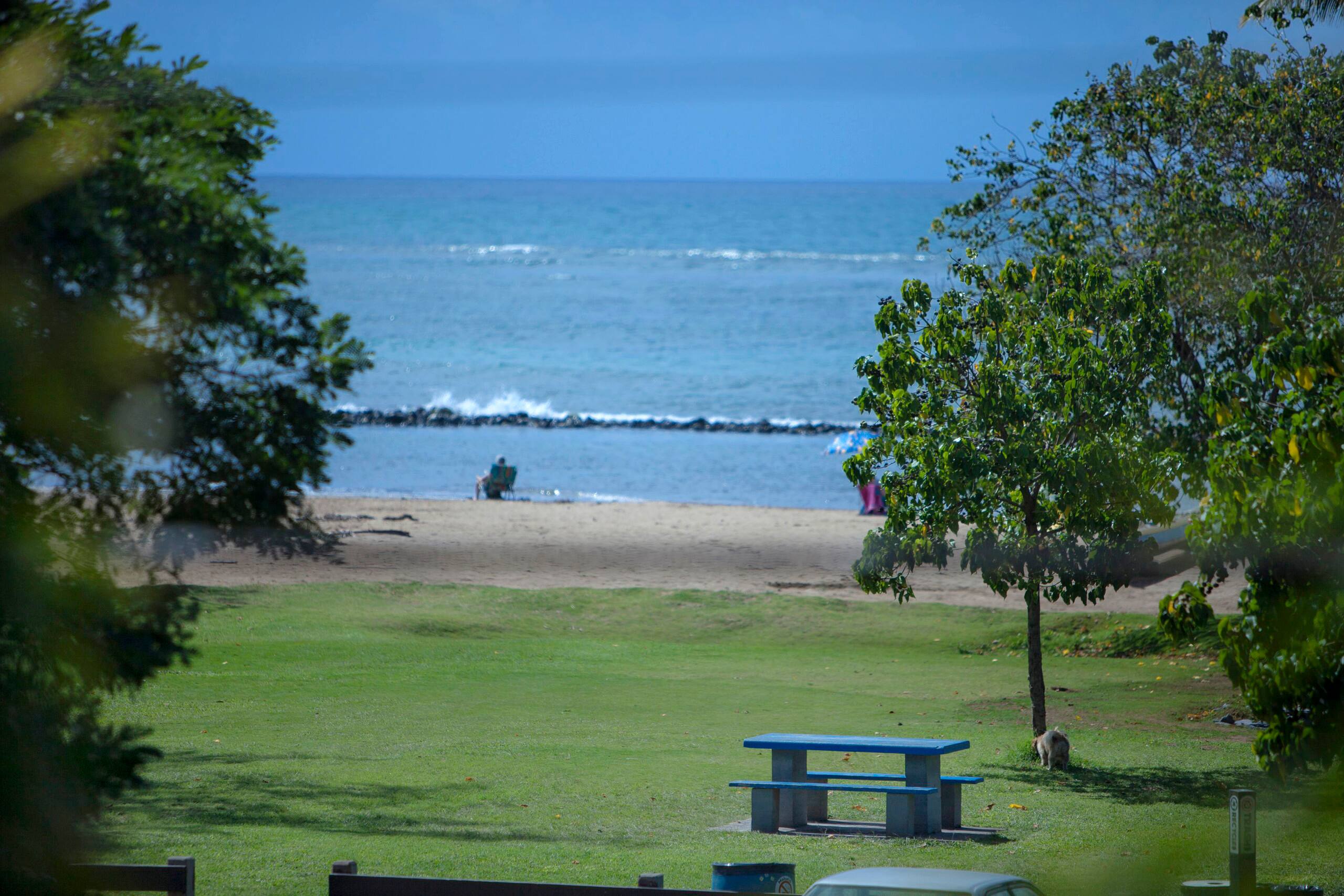 Condo in Kihei · ★5.0 · Studio · 2 beds · 1 bath - Image 24