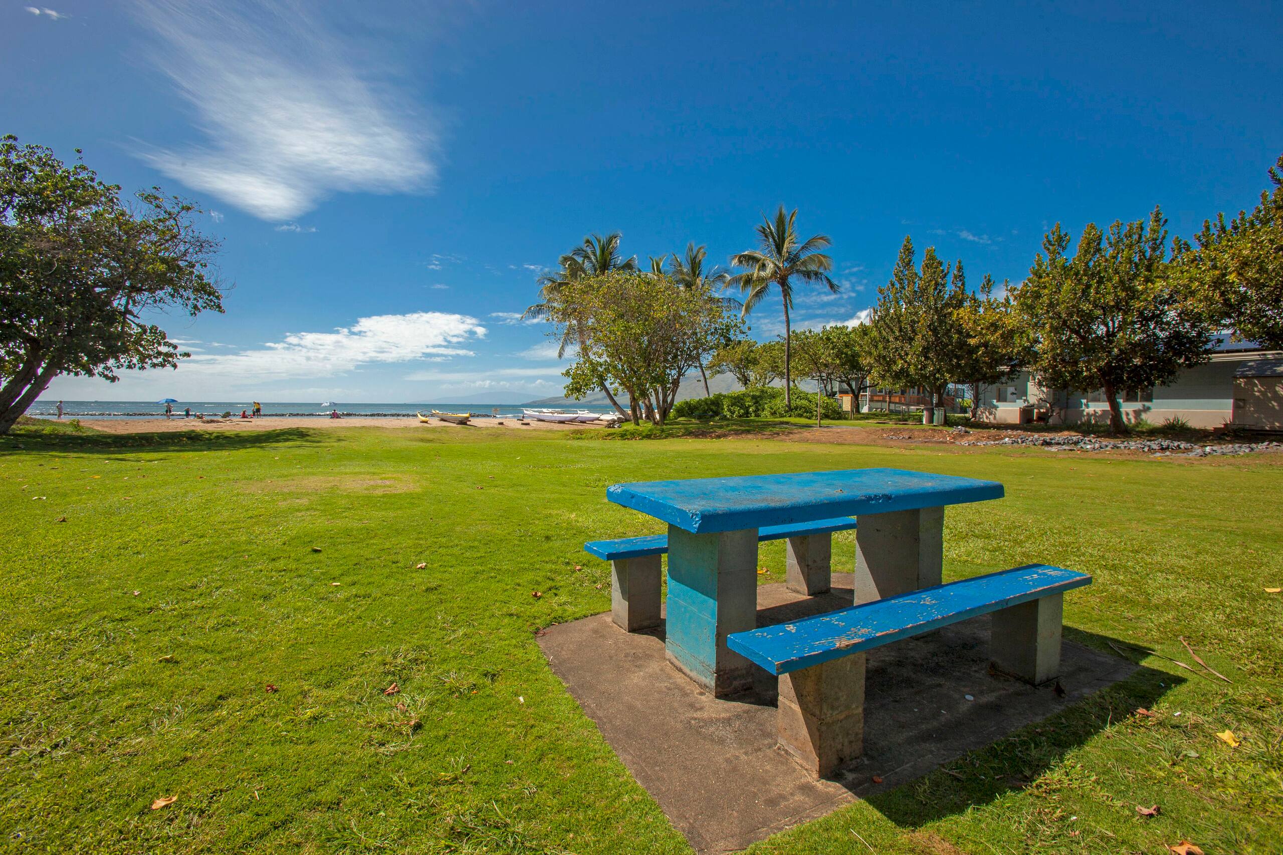 Condo in Kihei · ★5.0 · Studio · 2 beds · 1 bath - Image 22