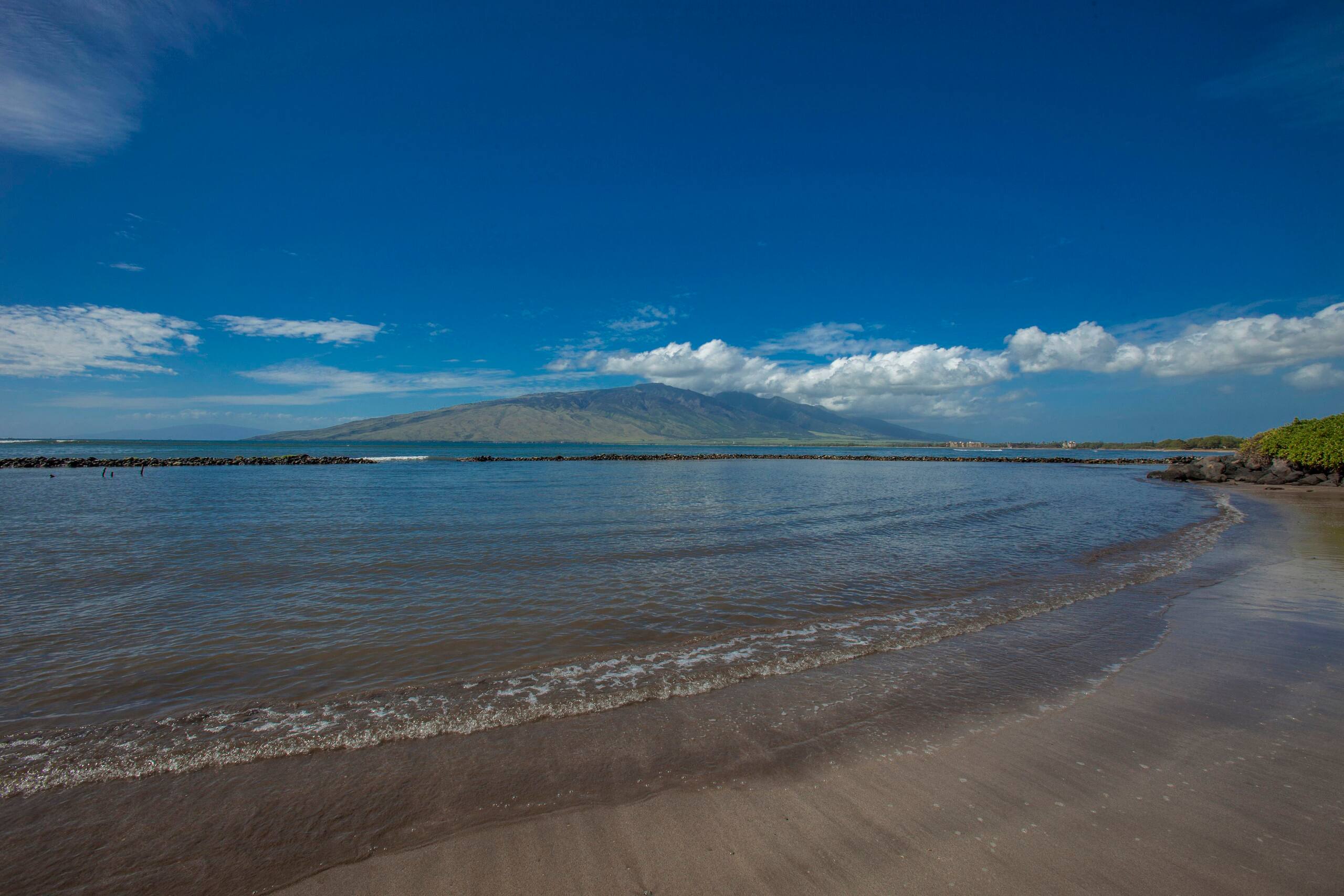 Condo in Kihei · ★5.0 · Studio · 2 beds · 1 bath - Image 25