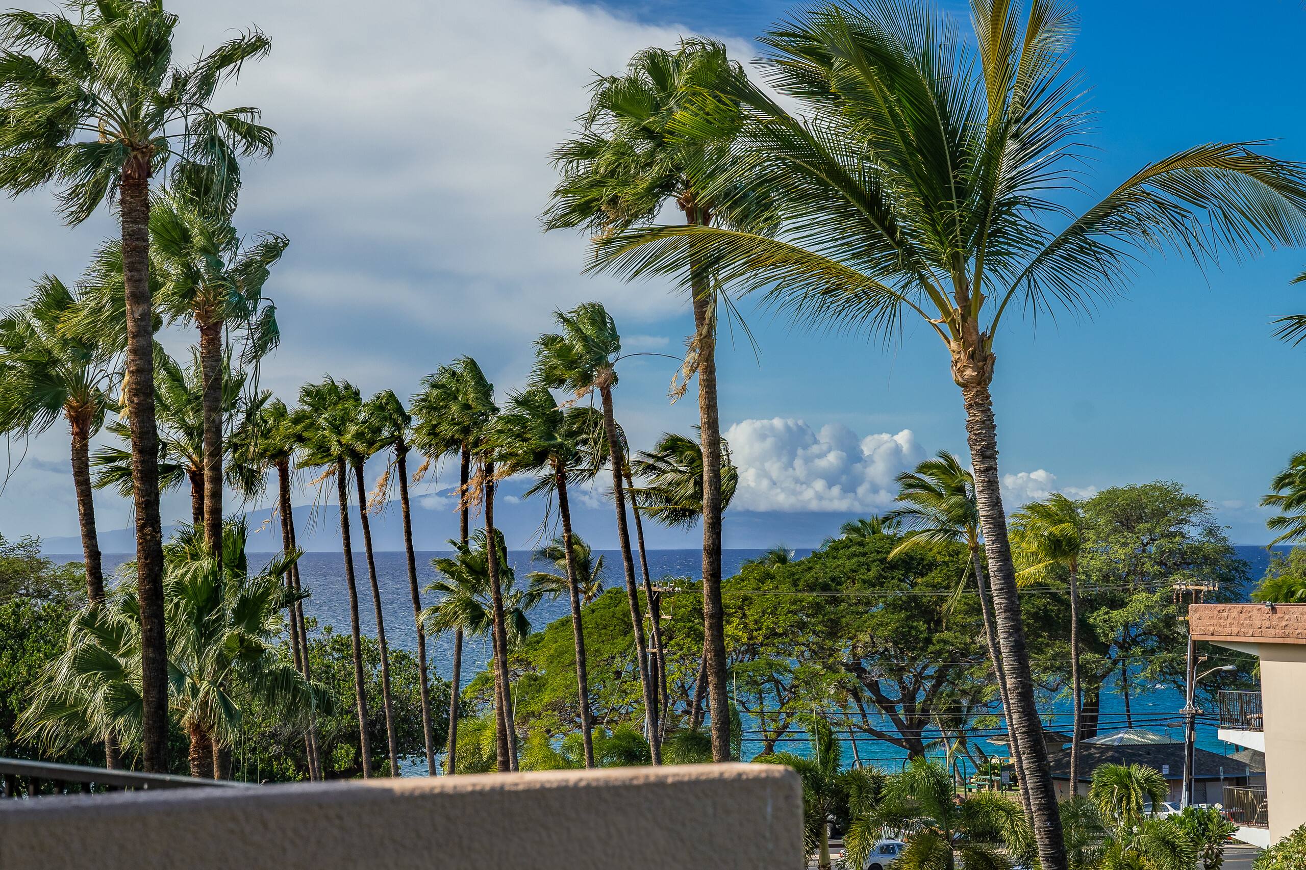 Condo in Kihei · ★5.0 · 2 bedrooms · 3 beds · 2 private baths - Image 38