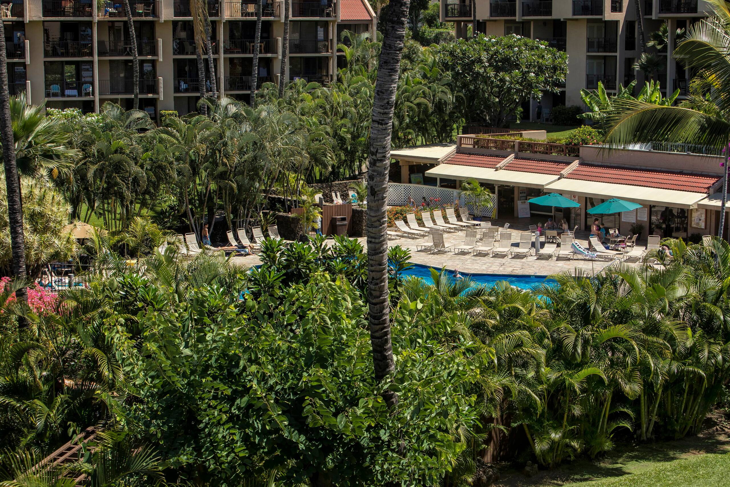 Condo in Kihei · ★4.71 · 2 bedrooms · 3 beds · 2 baths - Image 37