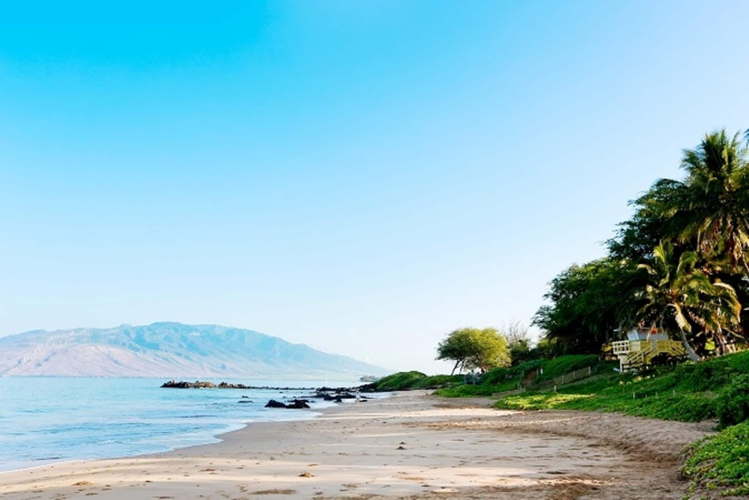 Condo in Kihei · ★4.88 · 2 bedrooms · 3 beds · 2 private baths - Image 49