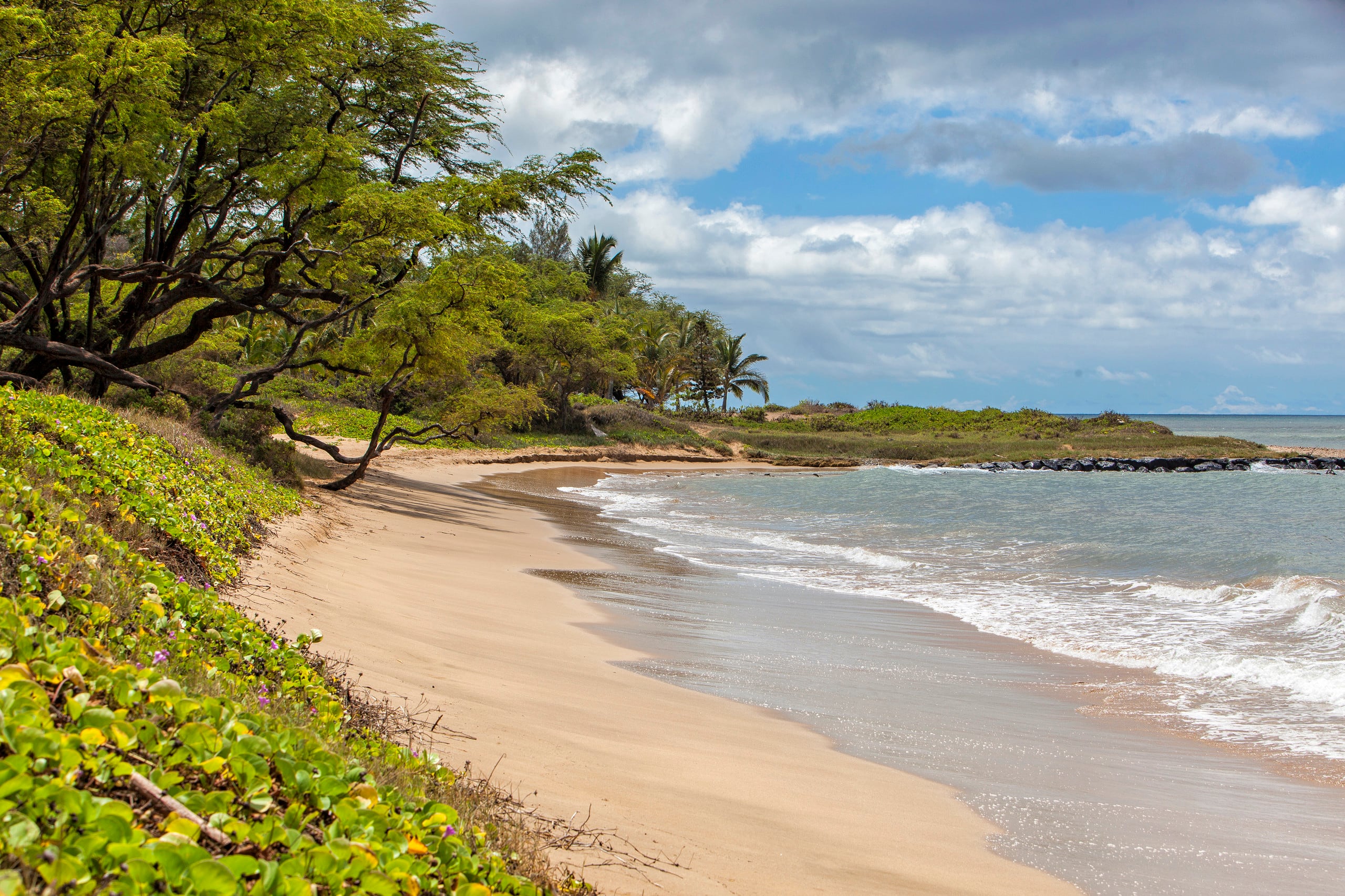 Condo in Kihei · ★4.89 · 1 bedroom · 2 beds · 1 private bath - Image 28