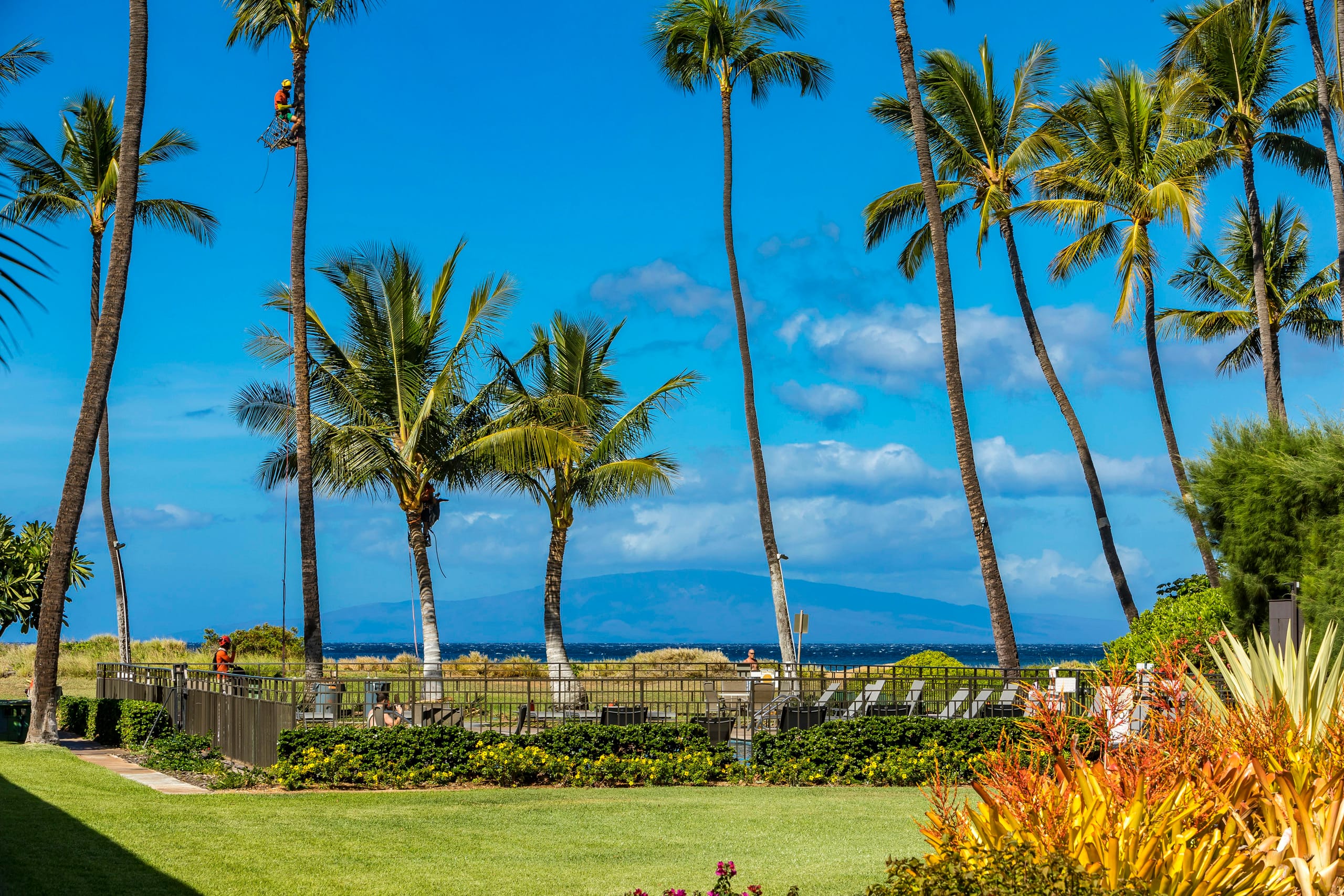 Condo in Kihei · ★4.89 · 1 bedroom · 2 beds · 1 private bath - Image 25