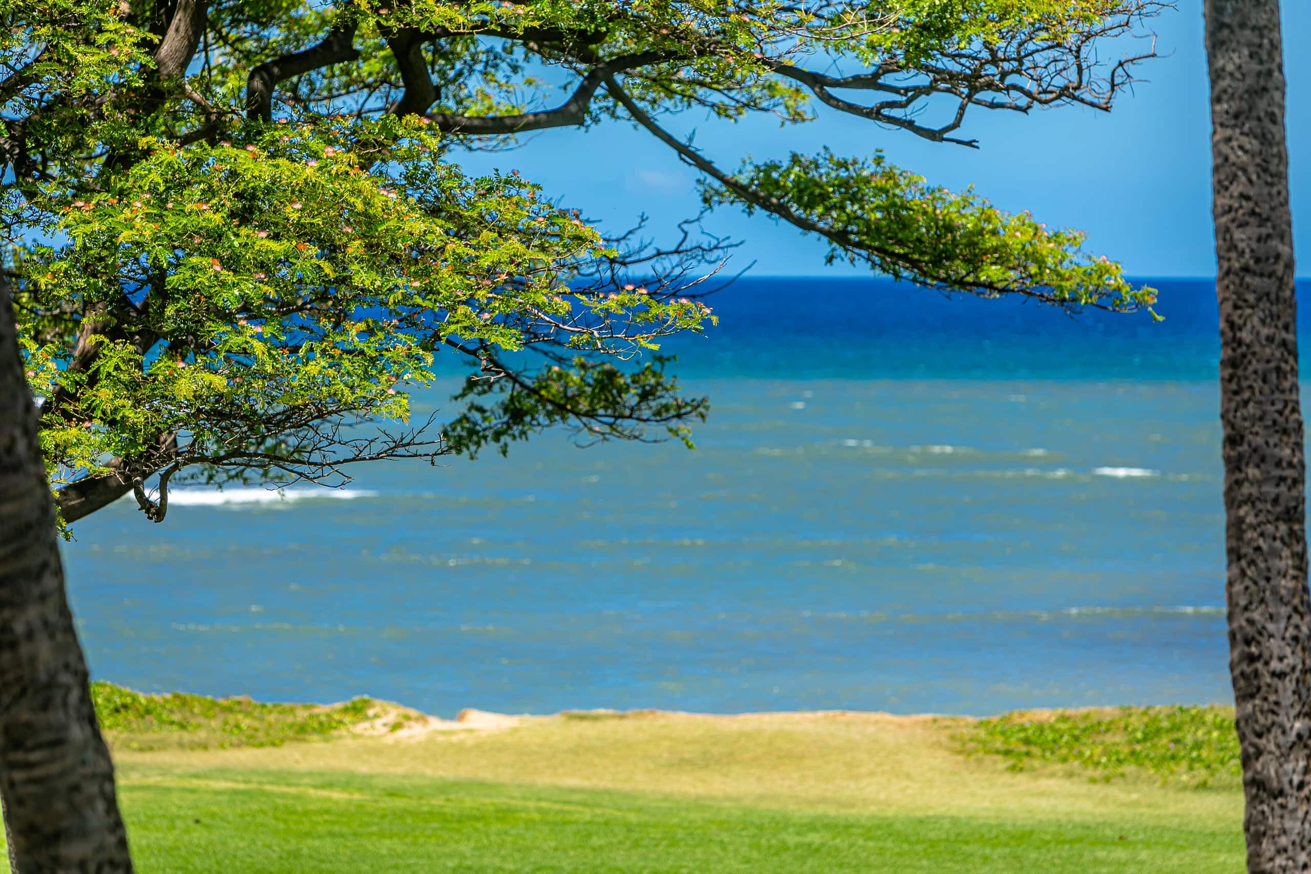 Condo in Kihei · ★4.73 · 1 bedroom · 2 beds · 1 private bath - Image 21