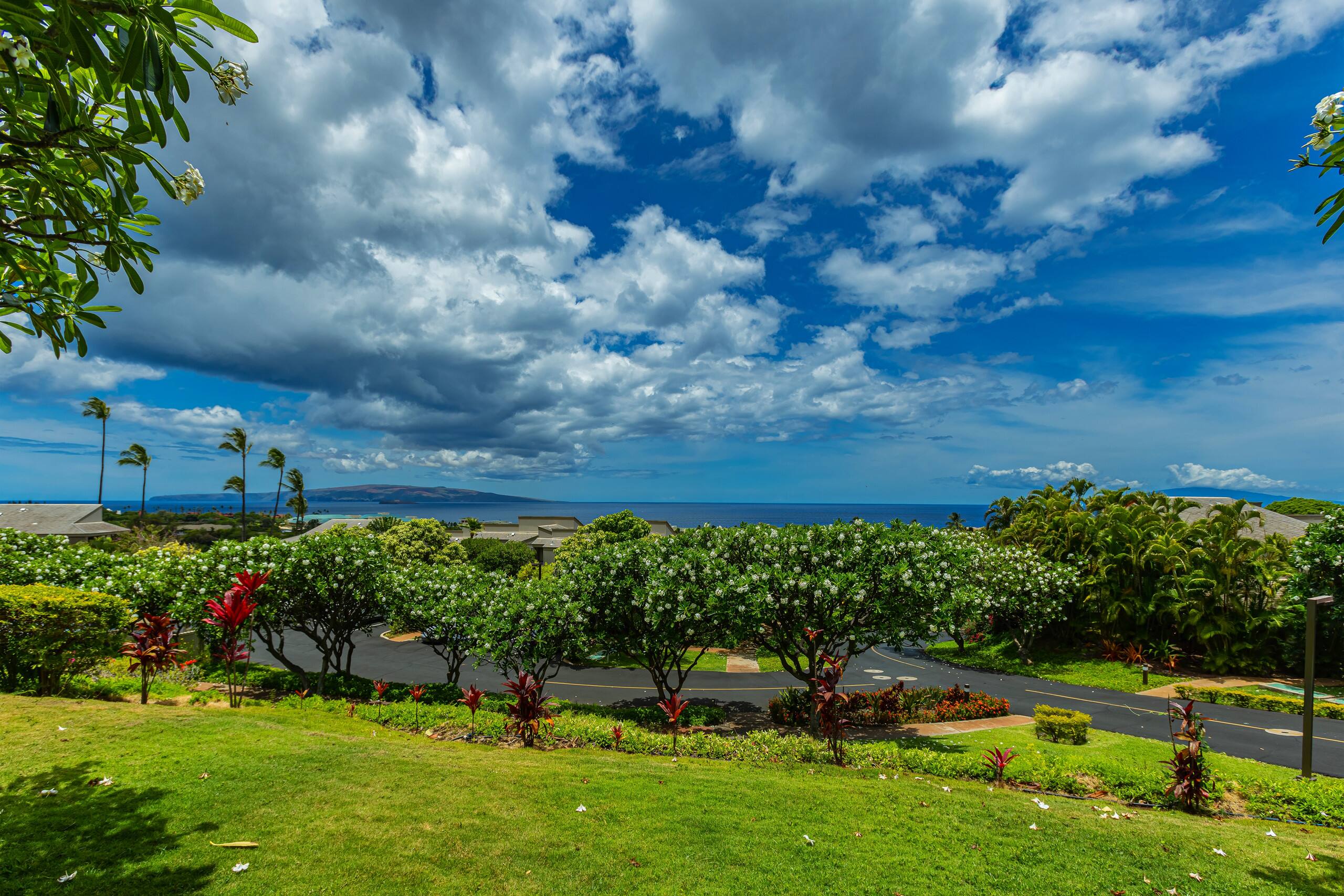Condo in Kihei · ★4.5 · 2 bedrooms · 3 beds · 2 baths - Image 42