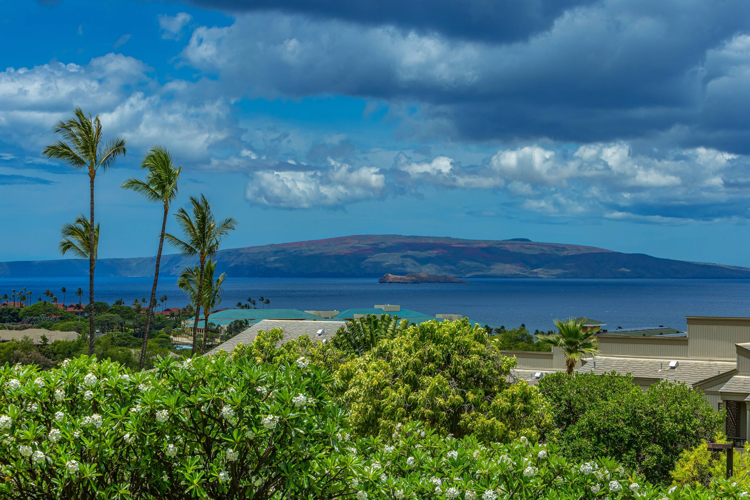 Condo in Kihei · ★4.5 · 2 bedrooms · 3 beds · 2 baths - Image 41