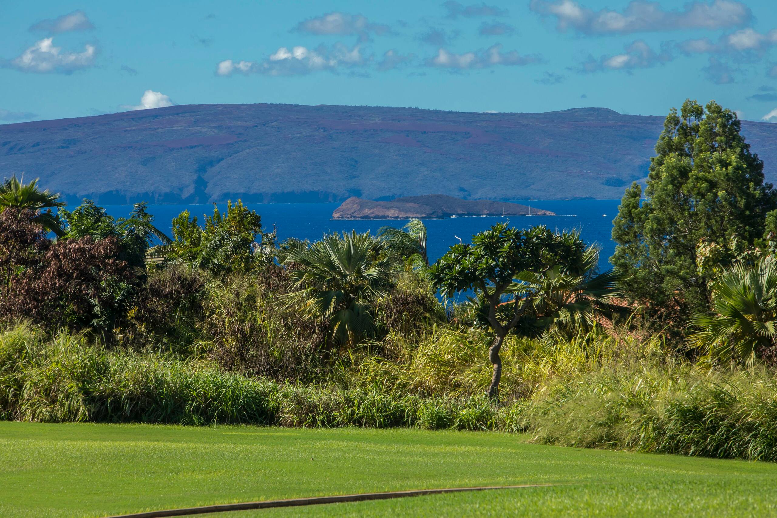 Condo in Kihei · ★4.5 · 2 bedrooms · 3 beds · 2 baths - Image 46