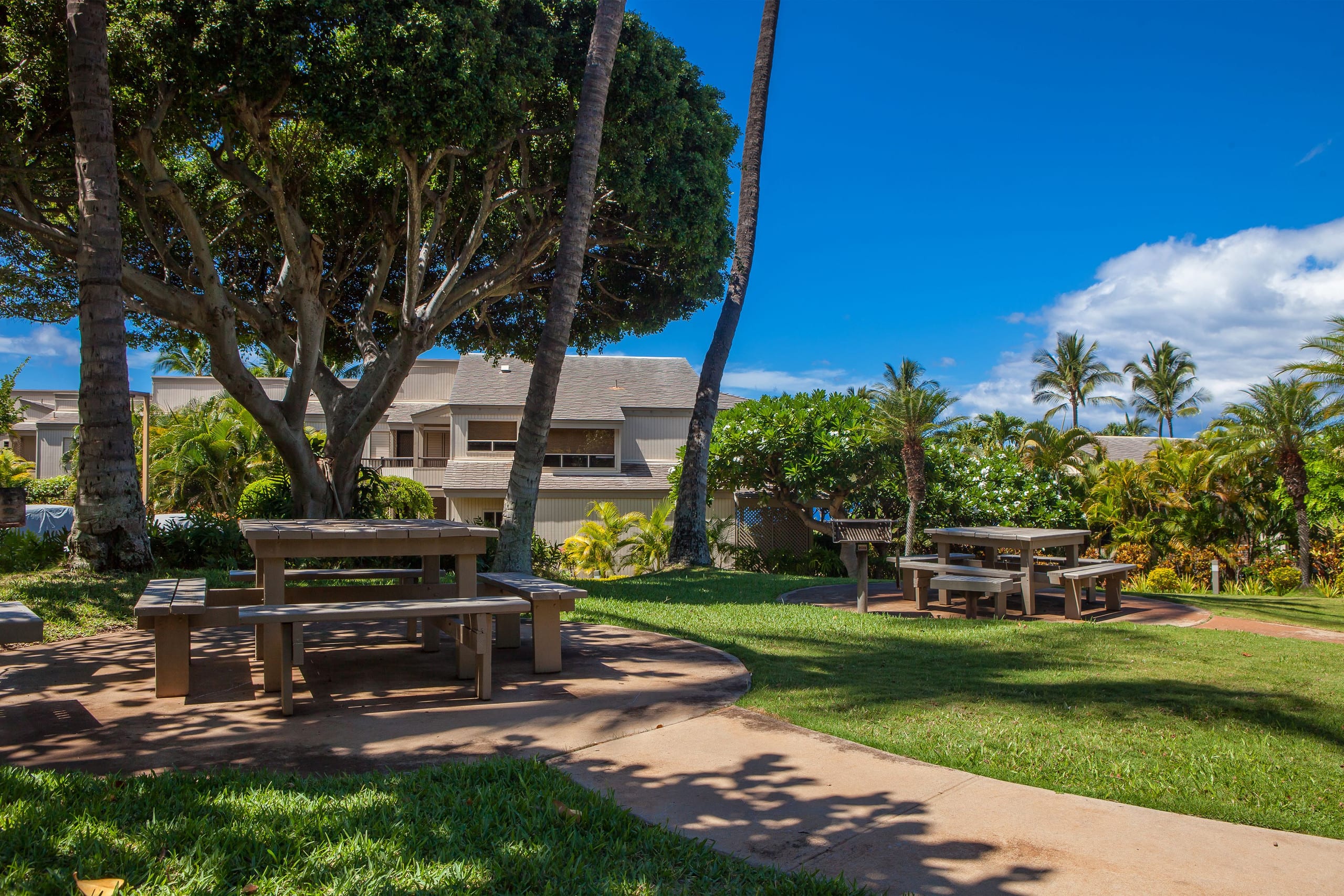 Condo in Kihei · ★4.5 · 2 bedrooms · 3 beds · 2 baths - Image 45