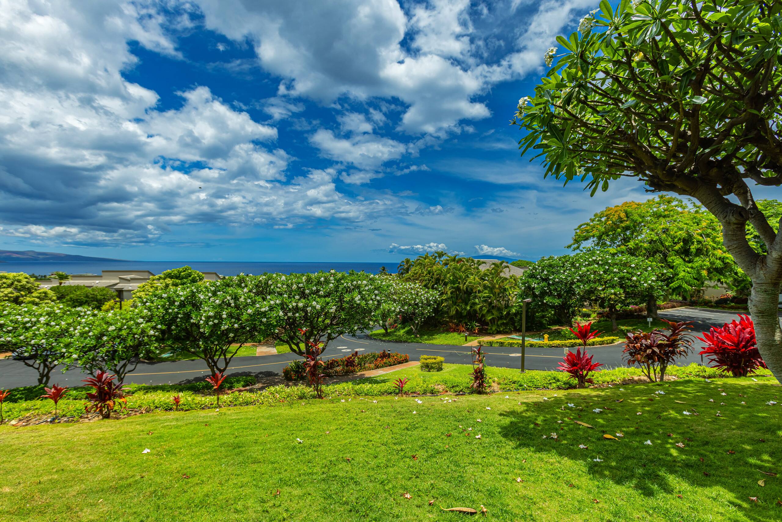 Condo in Kihei · ★4.5 · 2 bedrooms · 3 beds · 2 baths - Image 44