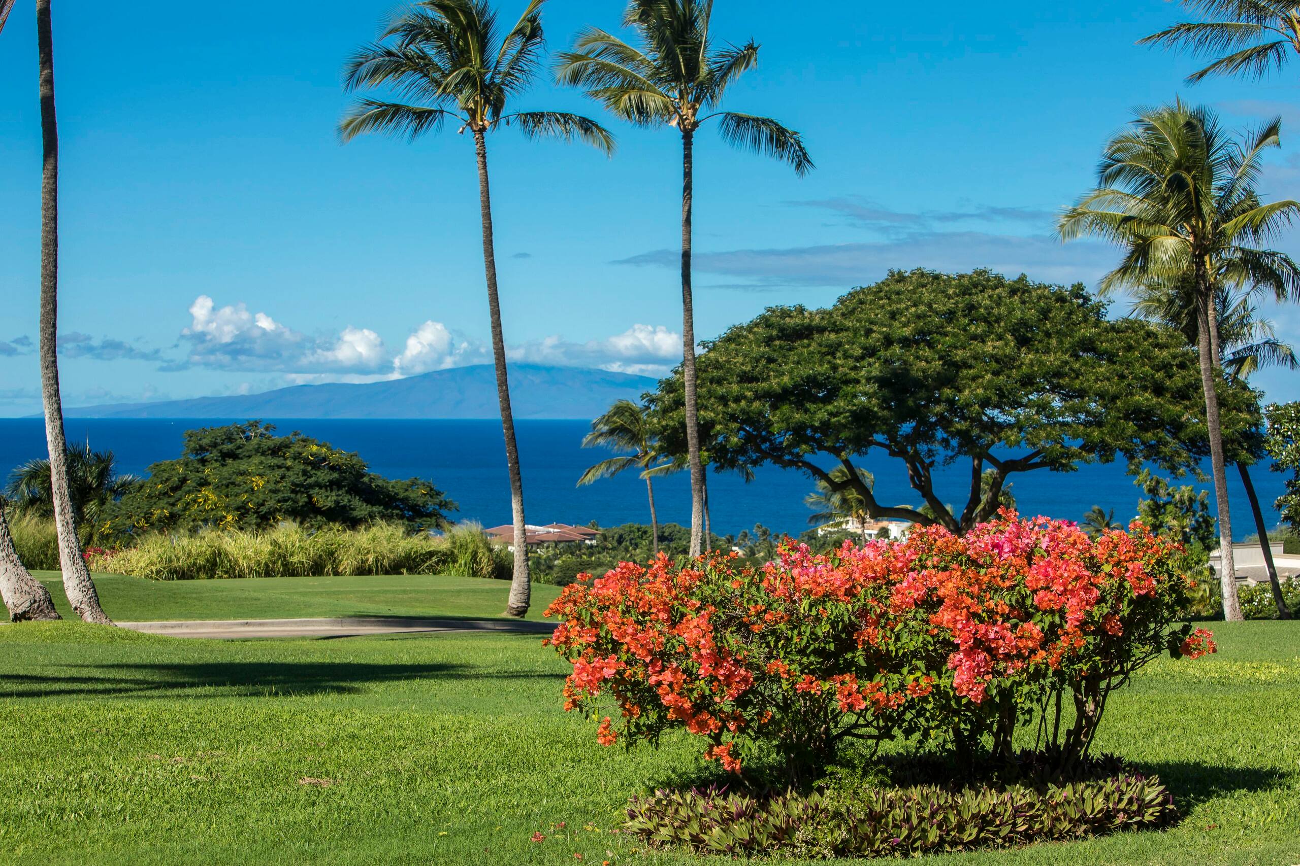 Condo in Kihei · ★4.5 · 2 bedrooms · 3 beds · 2 baths - Image 47