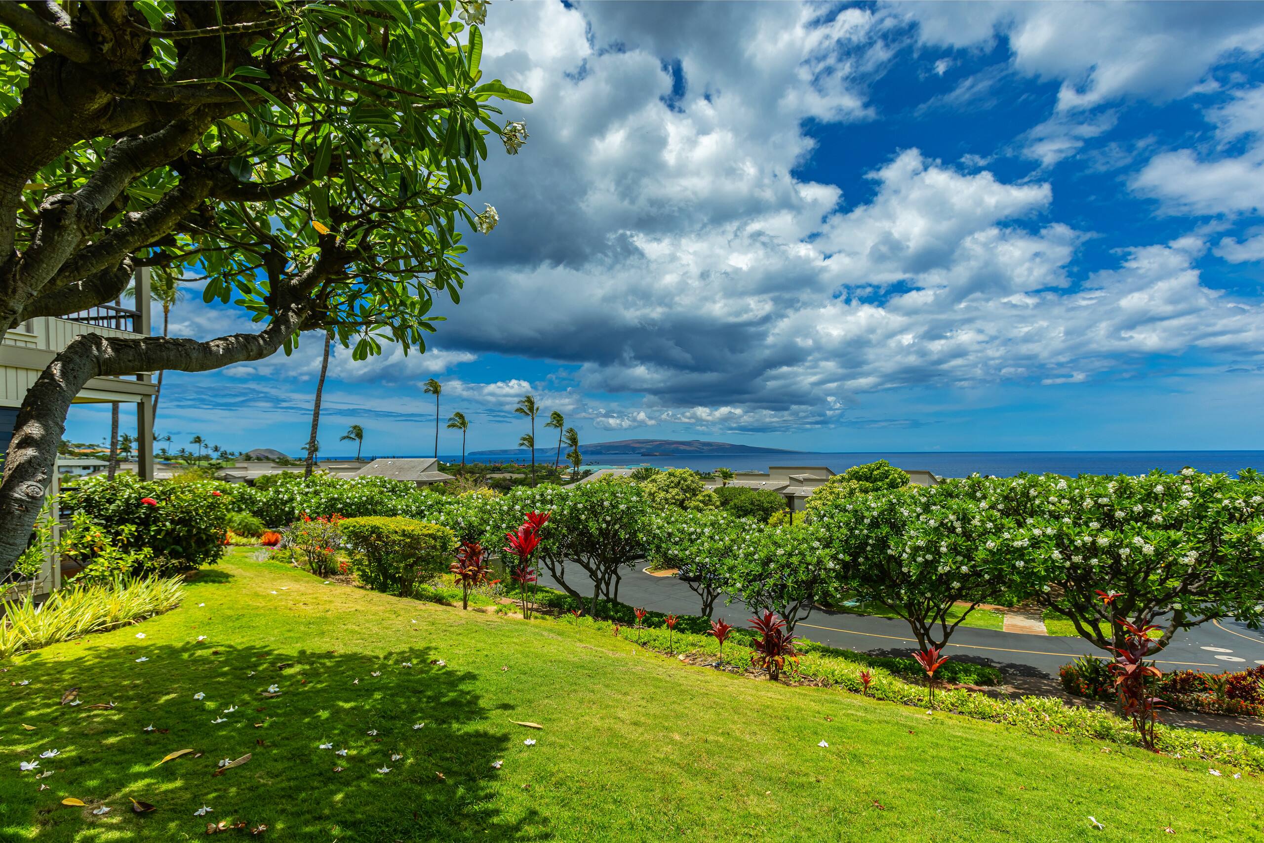 Condo in Kihei · ★4.5 · 2 bedrooms · 3 beds · 2 baths - Image 43