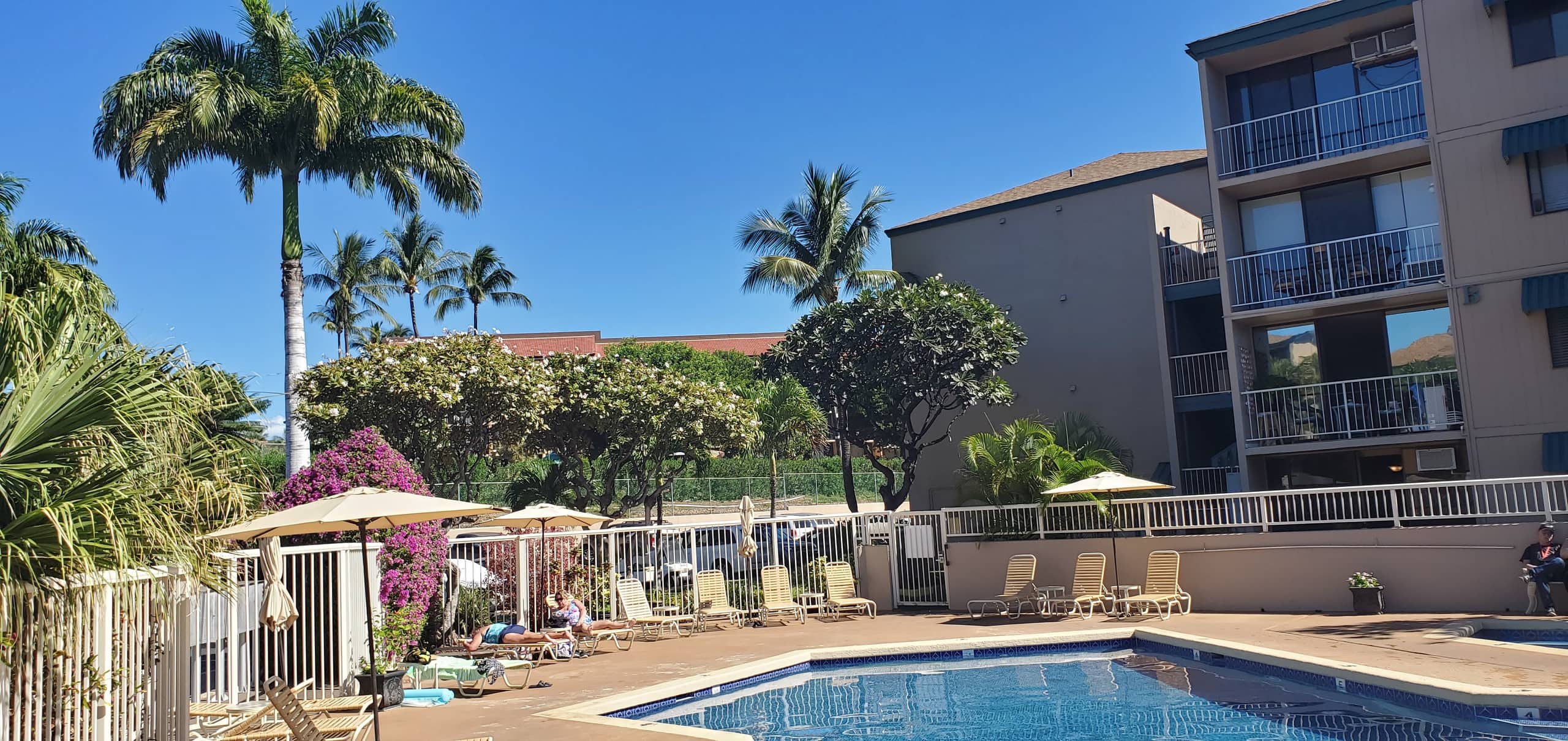 Condo in Kihei · ★4.88 · 1 bedroom · 1 bed · 1 private bath - Image 28