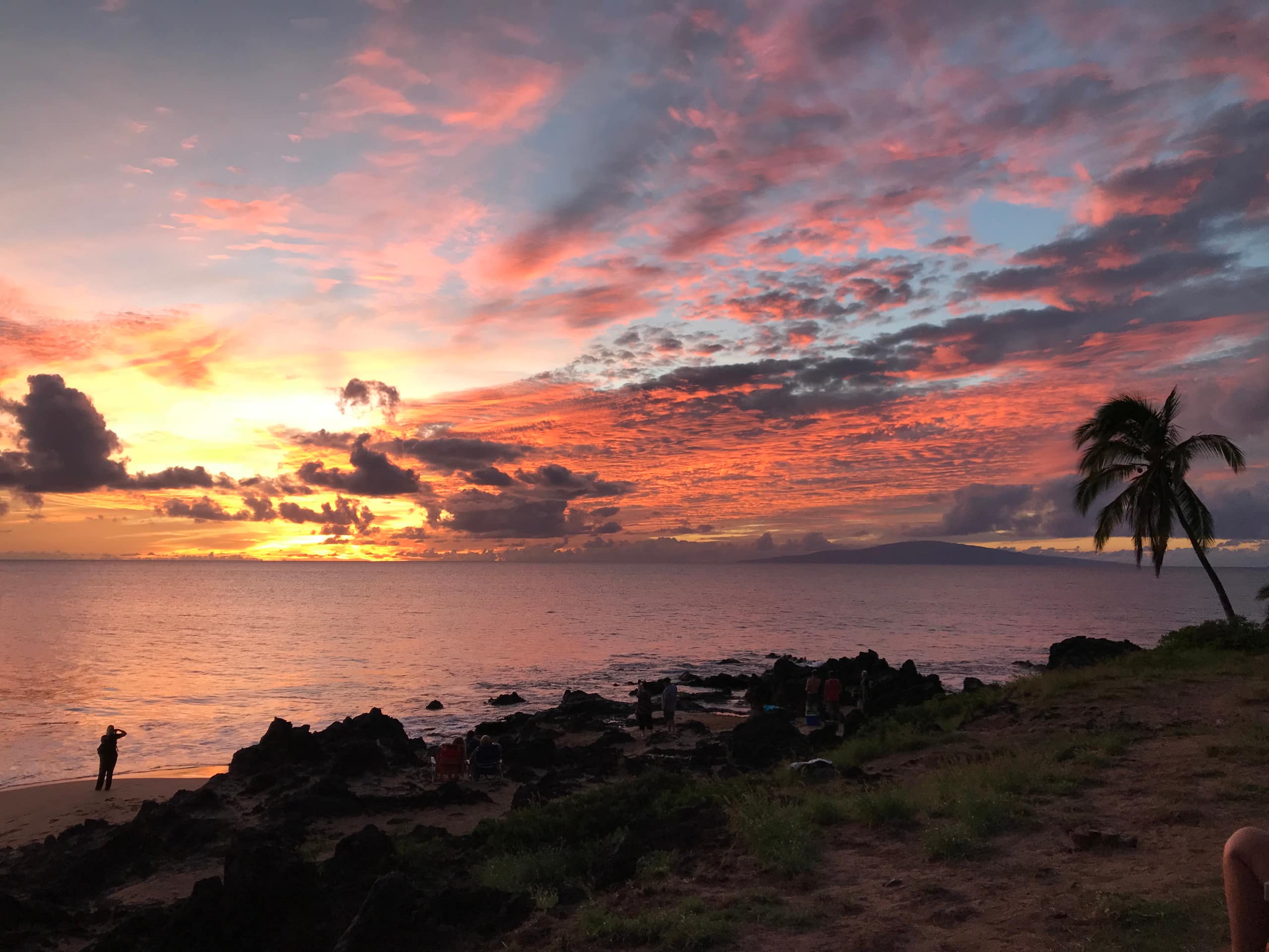 Condo in Kihei · ★4.88 · 1 bedroom · 1 bed · 1 private bath - Image 21