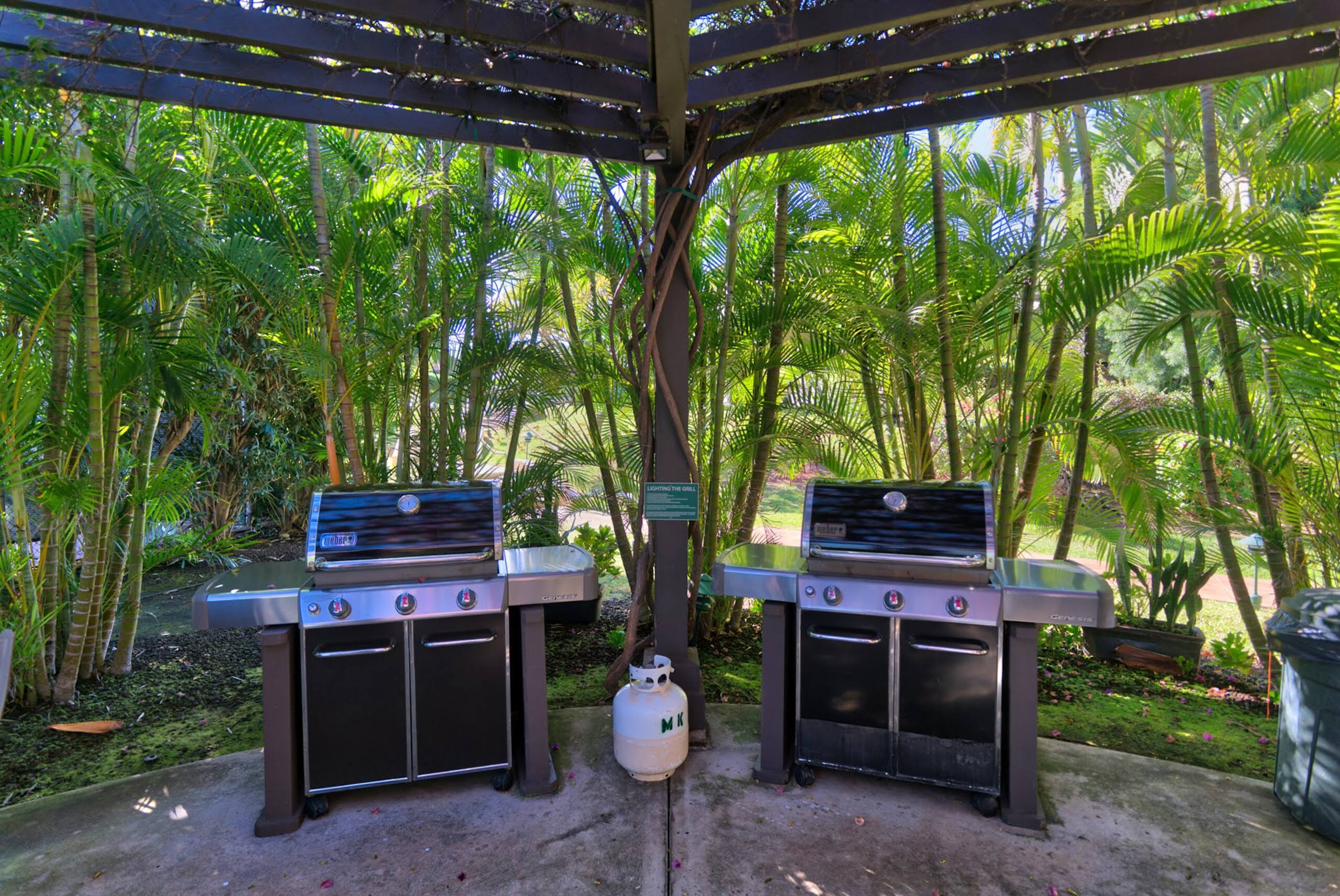 Condo in Kihei · ★4.75 · 2 bedrooms · 2 beds · 2 baths - Image 32