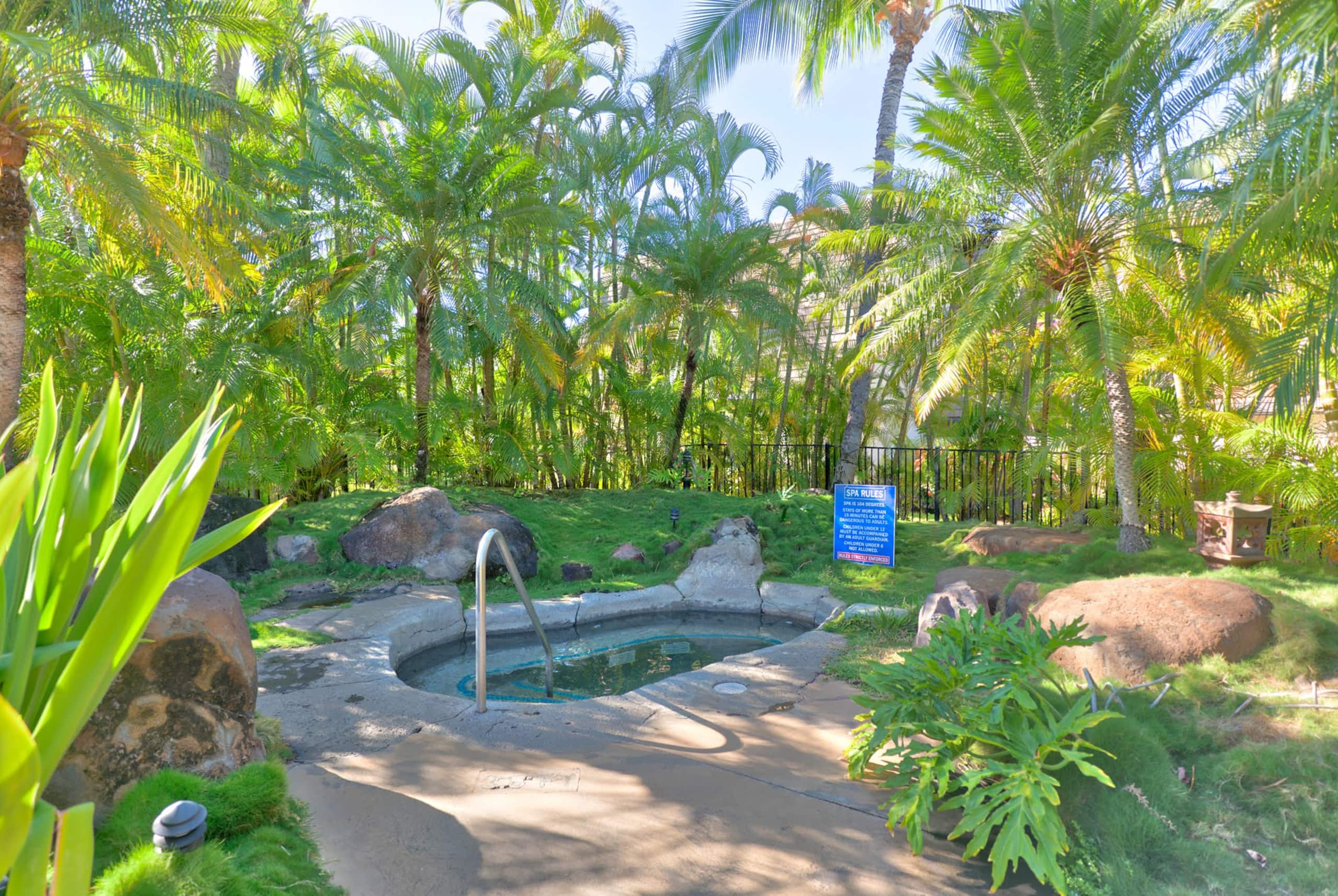 Condo in Kihei · ★4.75 · 2 bedrooms · 2 beds · 2 baths - Image 44