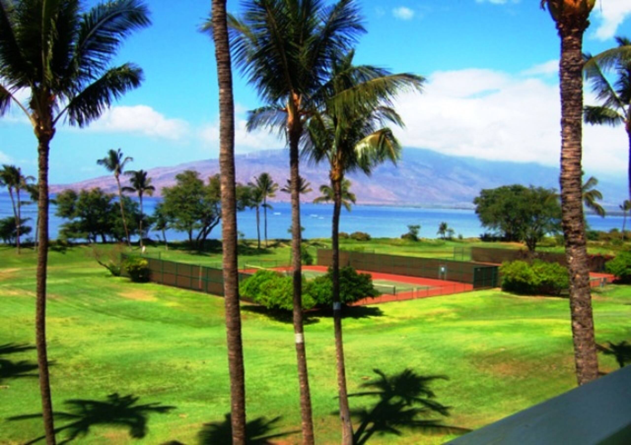 Condo in Kihei · ★4.0 · 2 bedrooms · 3 beds · 1 bath - Image 37