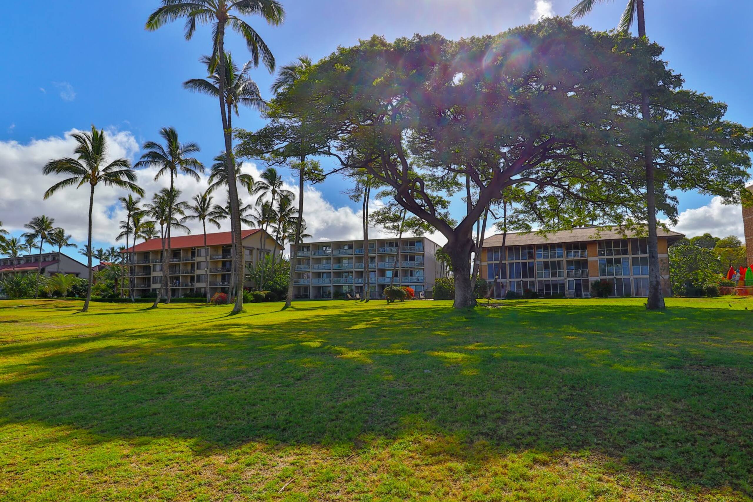 Condo in Kihei · ★4.0 · 2 bedrooms · 3 beds · 1 bath - Image 35
