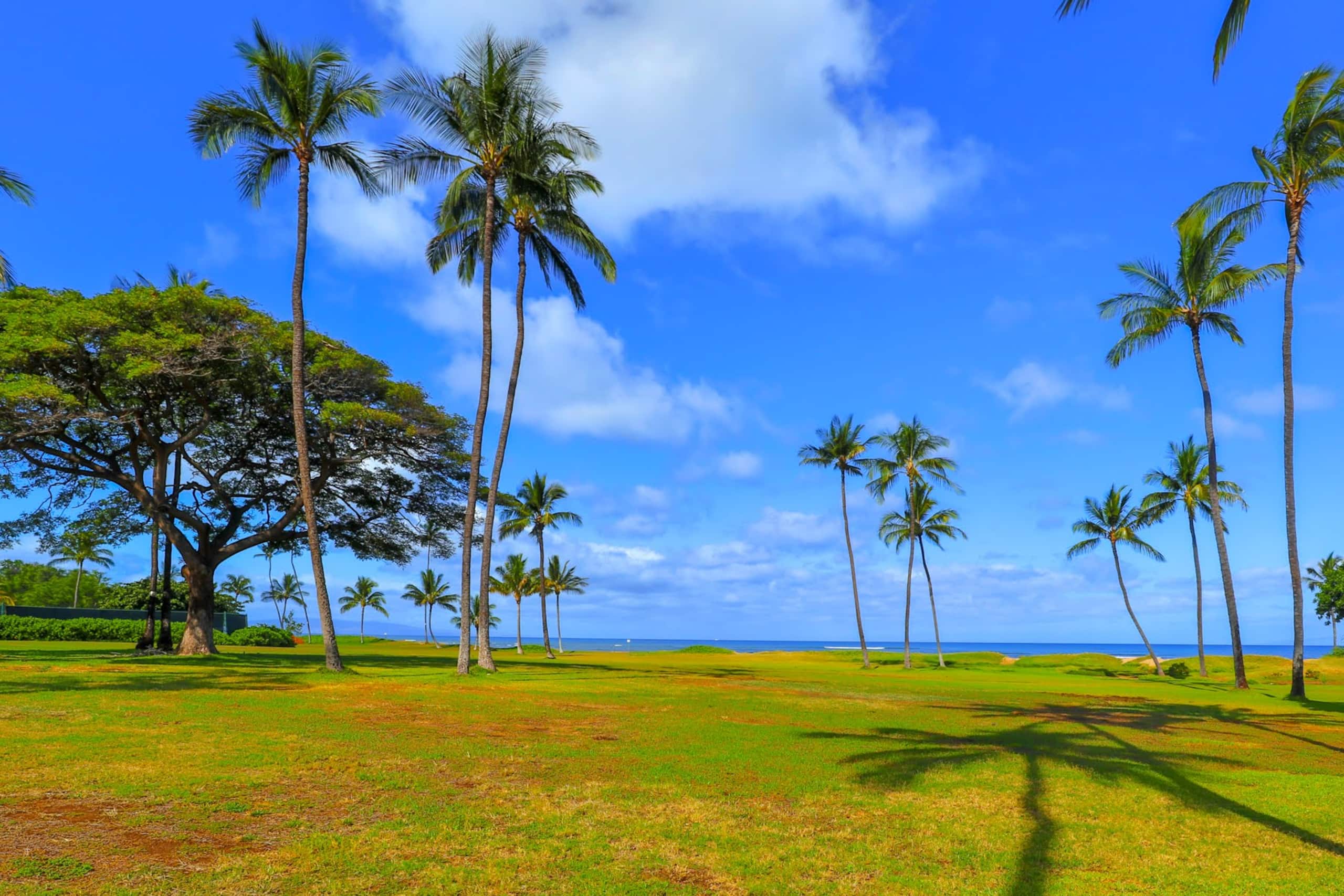 Condo in Kihei · ★4.0 · 2 bedrooms · 3 beds · 1 bath - Image 31