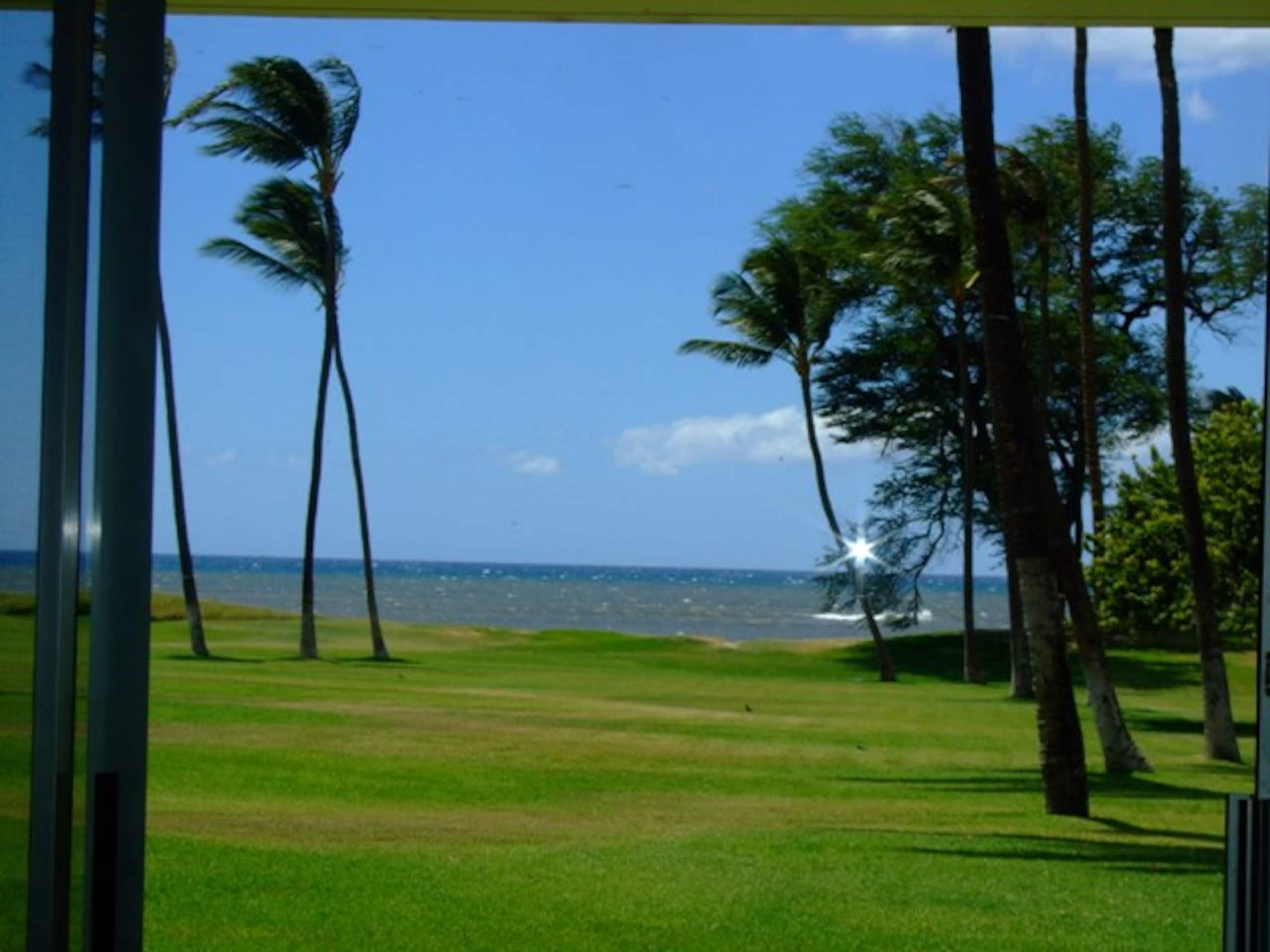 Condo in Kihei · ★4.0 · 2 bedrooms · 3 beds · 1 bath - Image 38