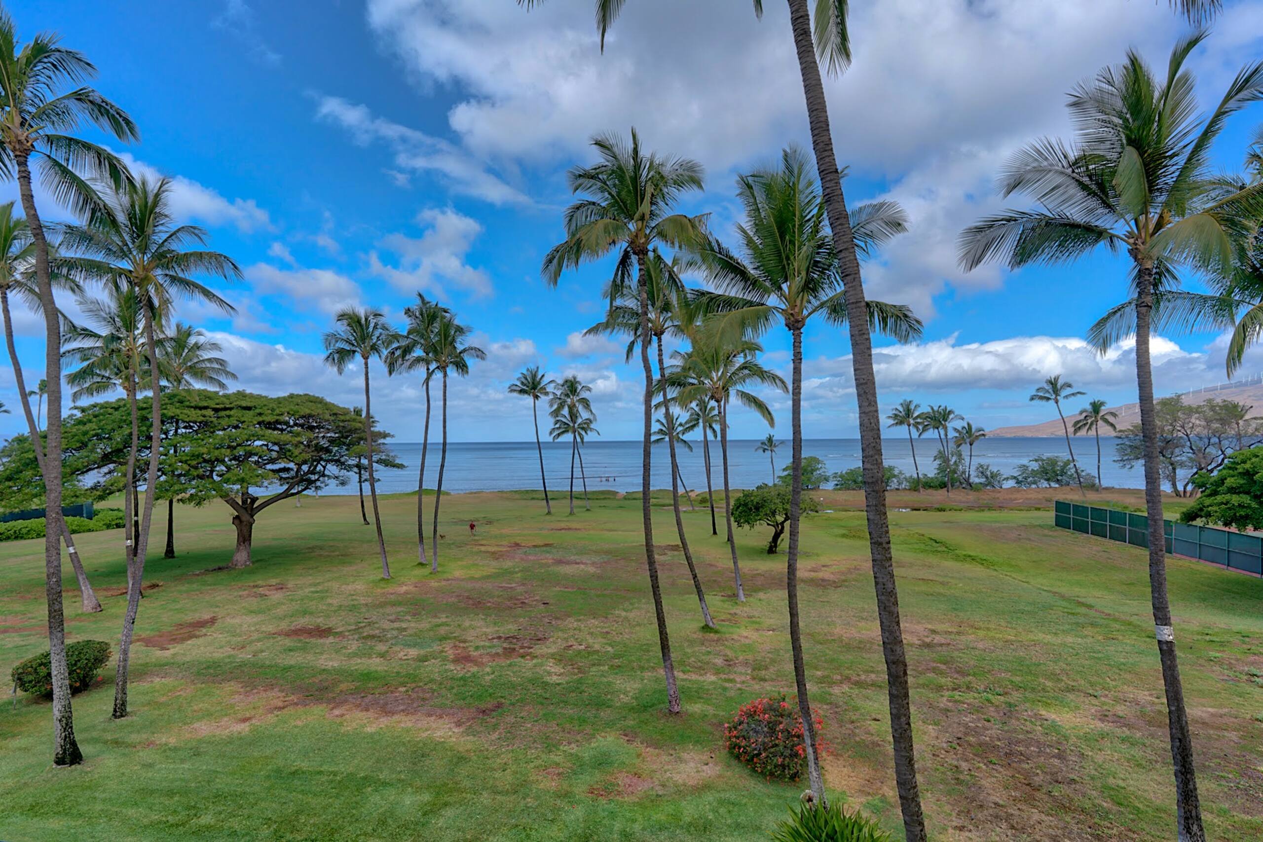 Condo in Kihei · ★4.0 · 2 bedrooms · 3 beds · 1 bath - Image 24