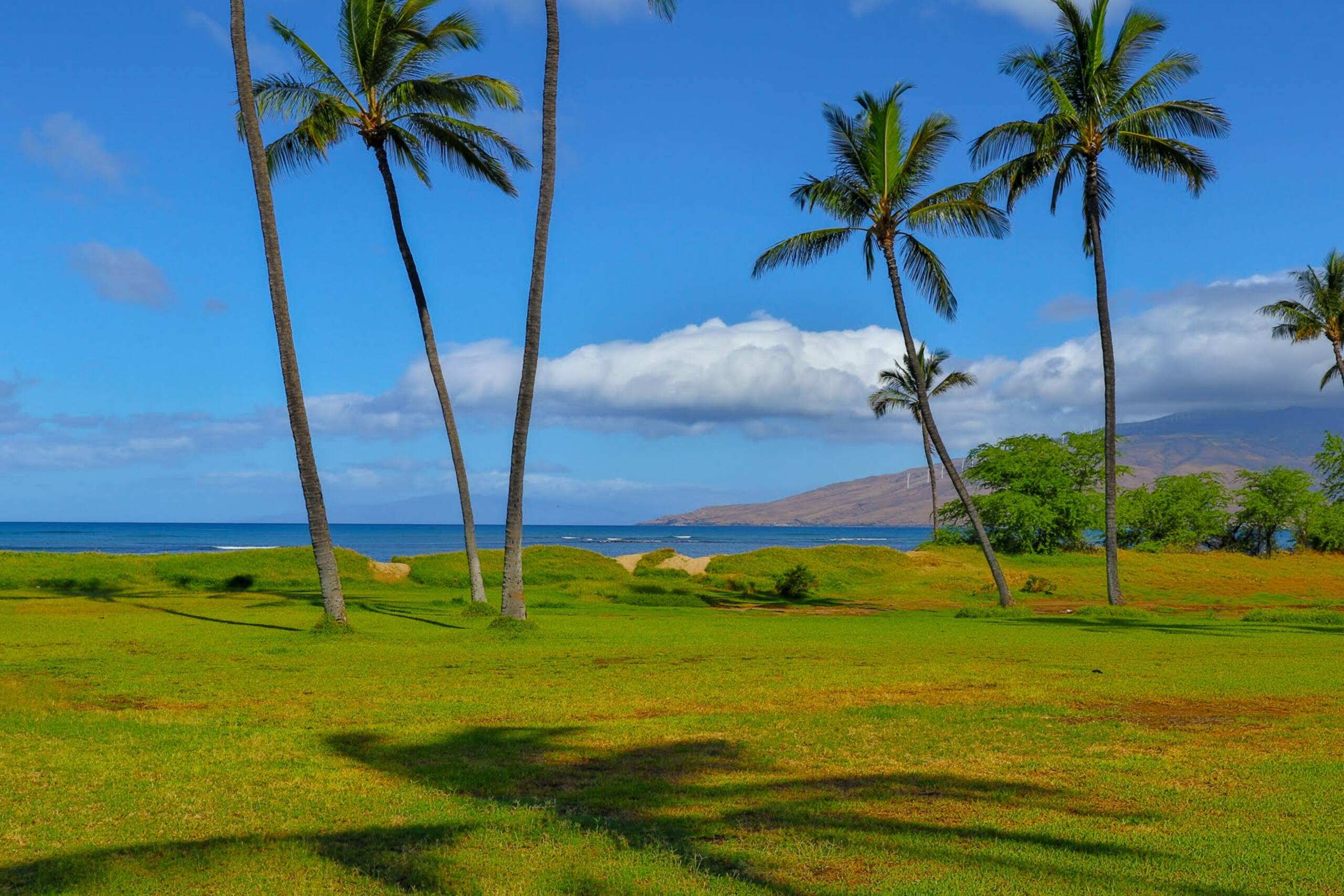 Condo in Kihei · ★4.0 · 2 bedrooms · 3 beds · 1 bath - Image 33