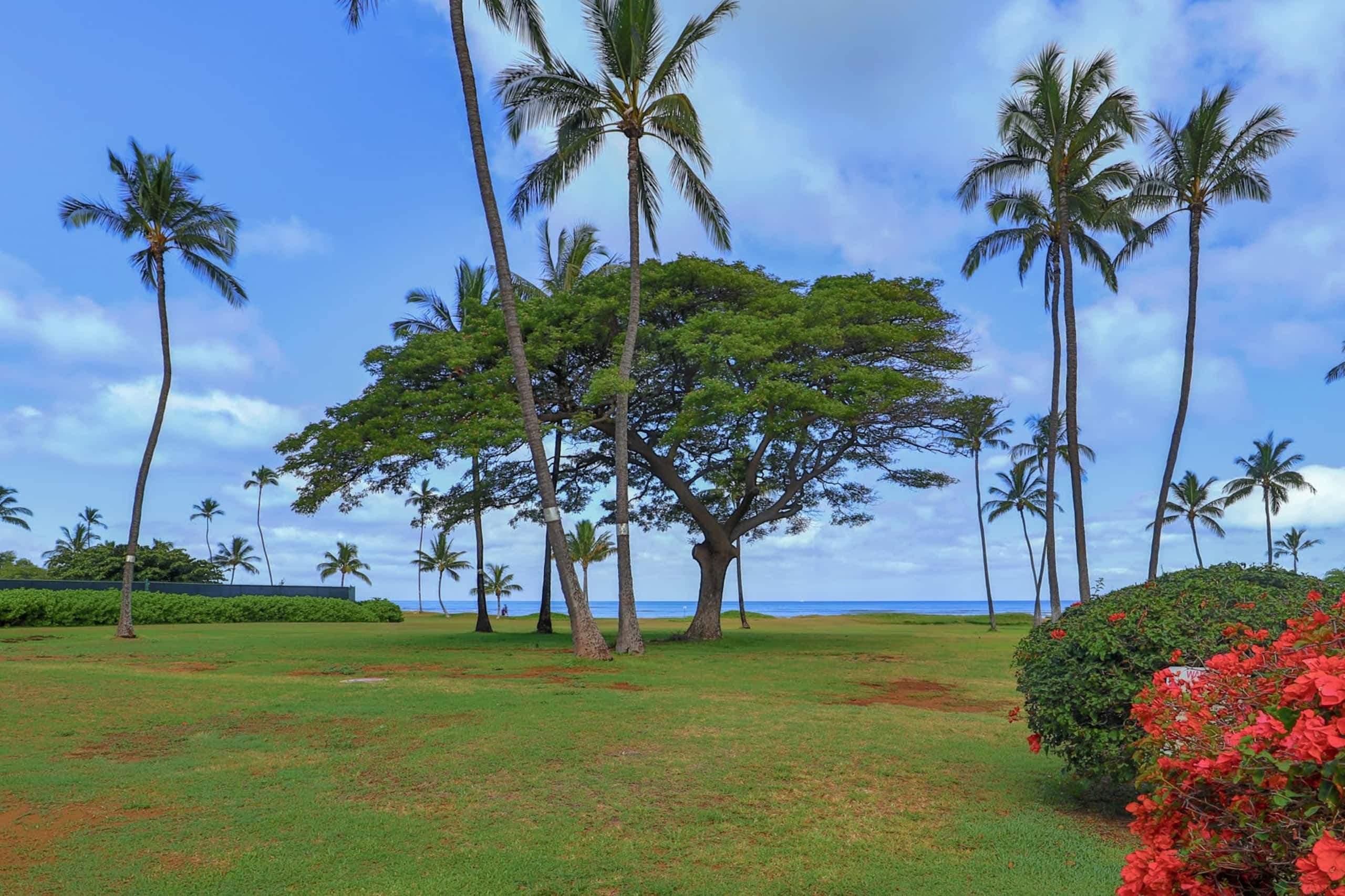 Condo in Kihei · ★4.0 · 2 bedrooms · 3 beds · 1 bath - Image 30