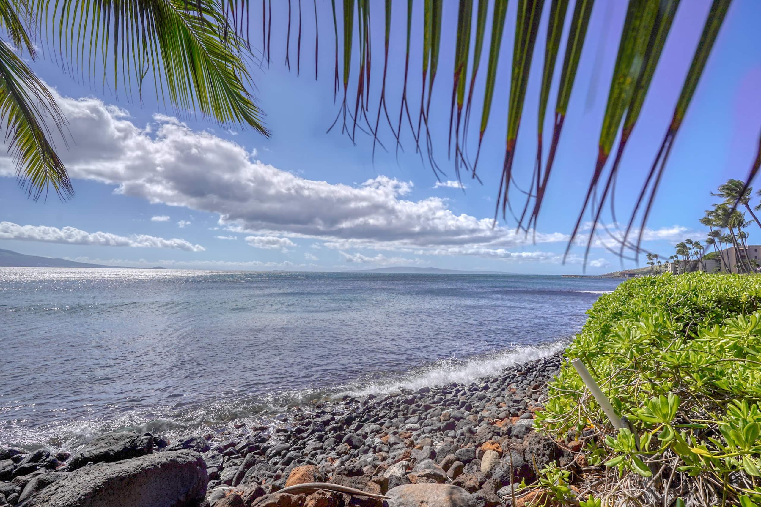 Condo in Maalaea · ★4.67 · 2 bedrooms · 2 beds · 2 baths - Image 59