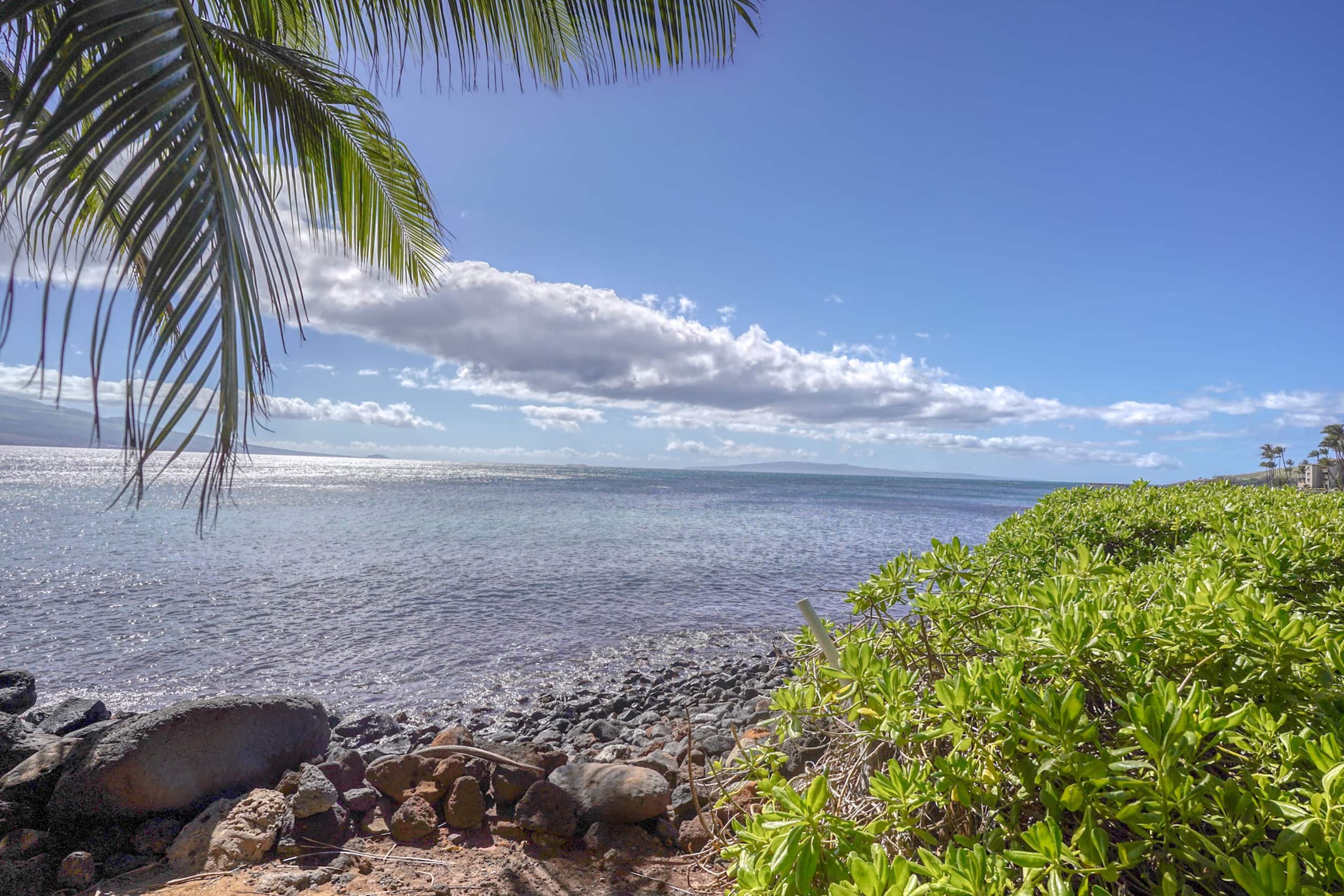 Condo in Maalaea · ★4.67 · 2 bedrooms · 2 beds · 2 baths - Image 52
