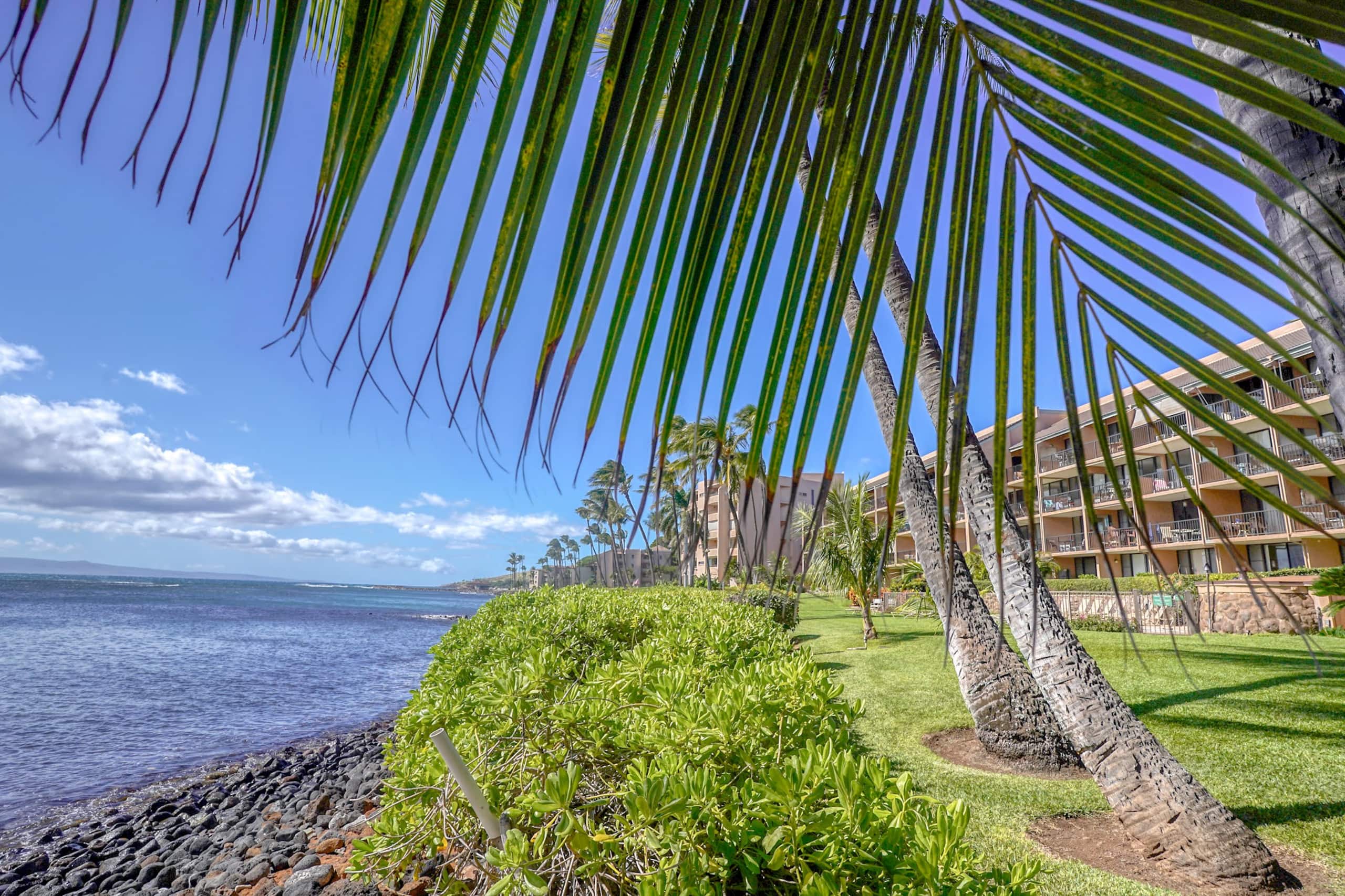 Condo in Maalaea · ★4.67 · 2 bedrooms · 2 beds · 2 baths - Image 56