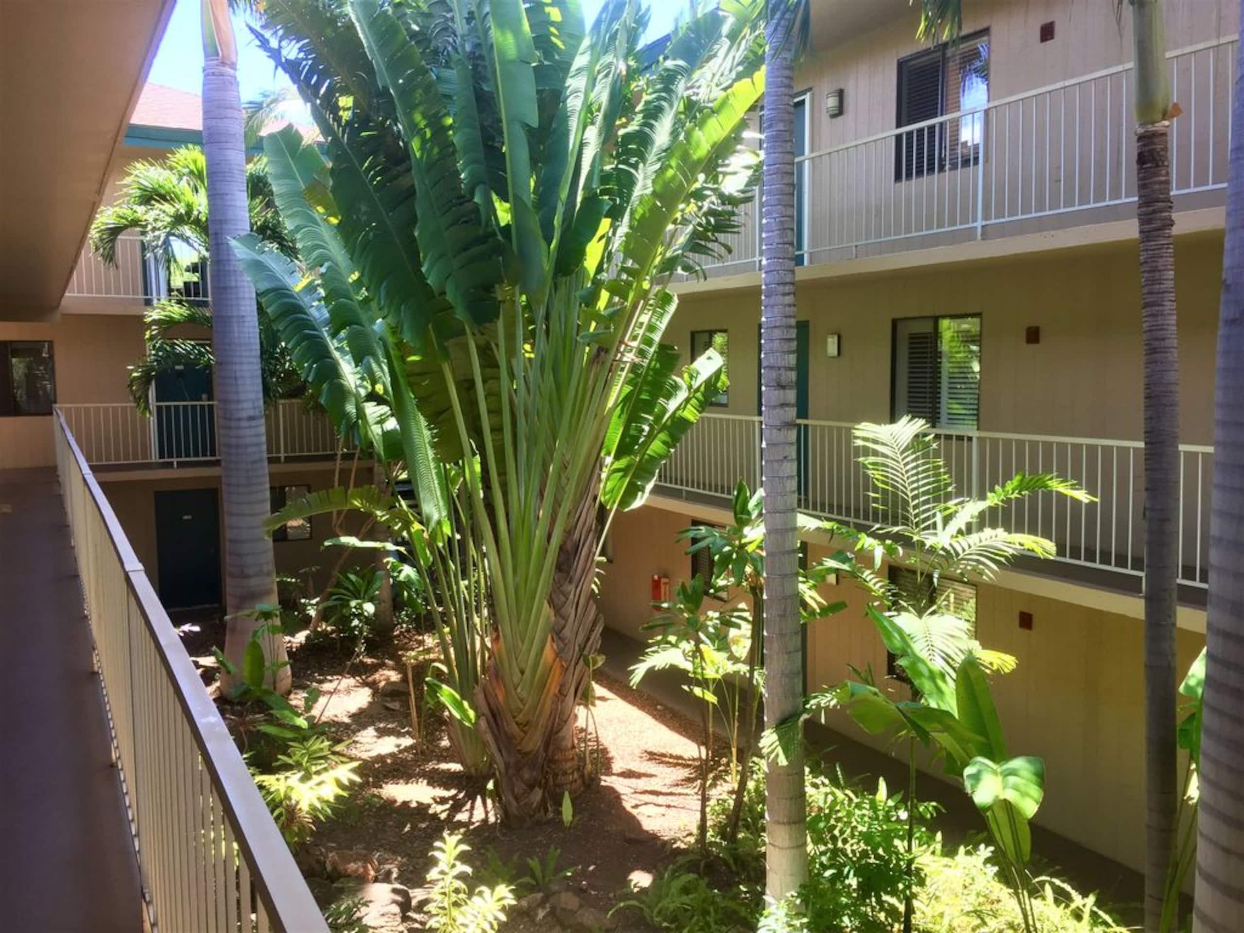Condo in Kihei · ★4.88 · 2 bedrooms · 2 beds · 2 private baths - Image 29
