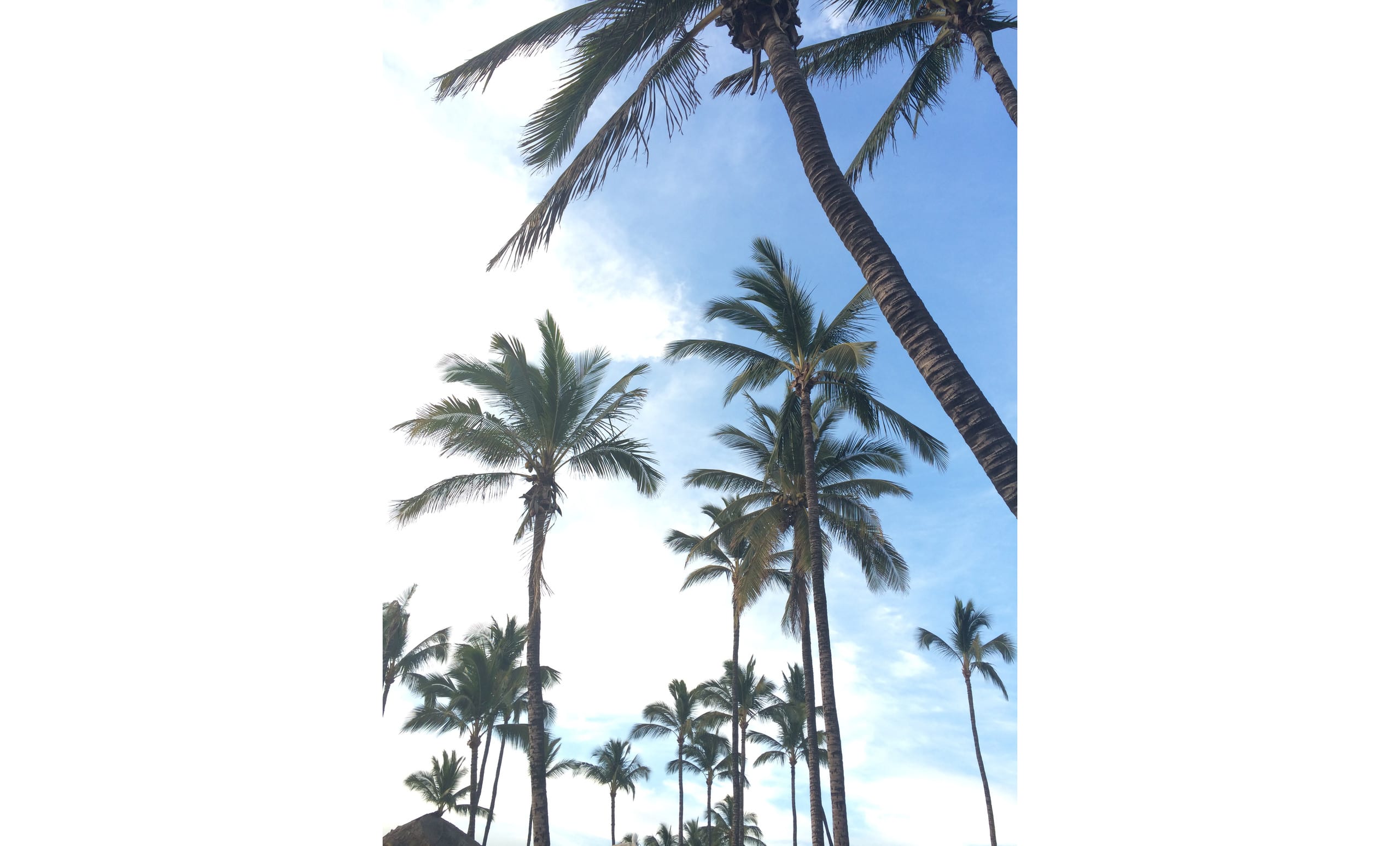 Condo in Kihei · ★4.88 · 2 bedrooms · 2 beds · 2 private baths - Image 38