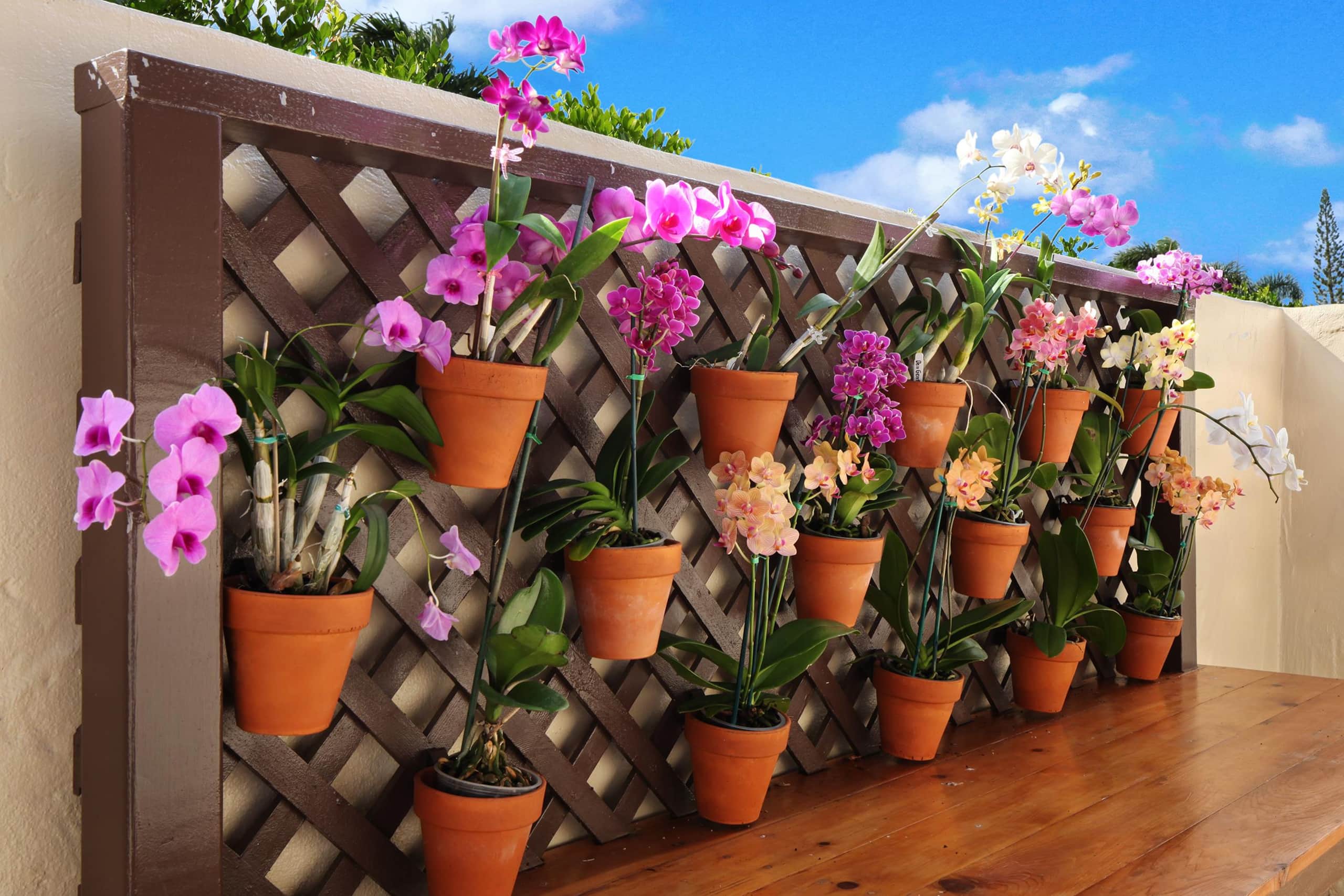 Home in Princeville · ★4.76 · 4 bedrooms · 7 beds · 3 baths - Image 7