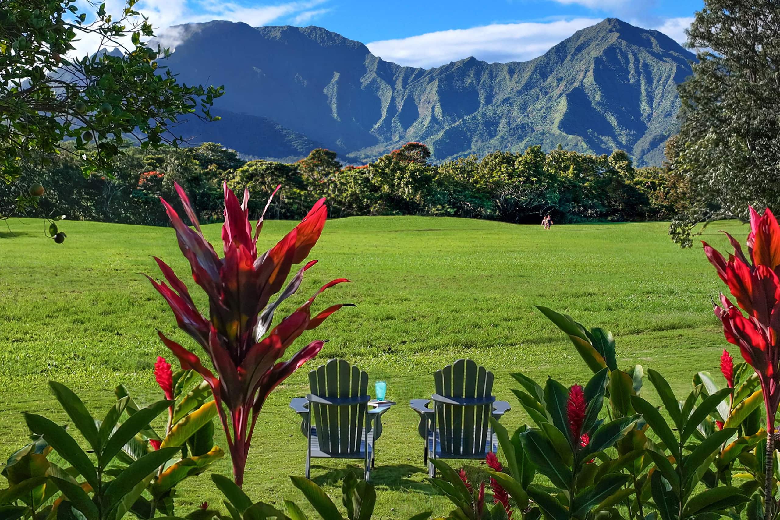 Home in Princeville · ★4.76 · 4 bedrooms · 7 beds · 3 baths - Image 5