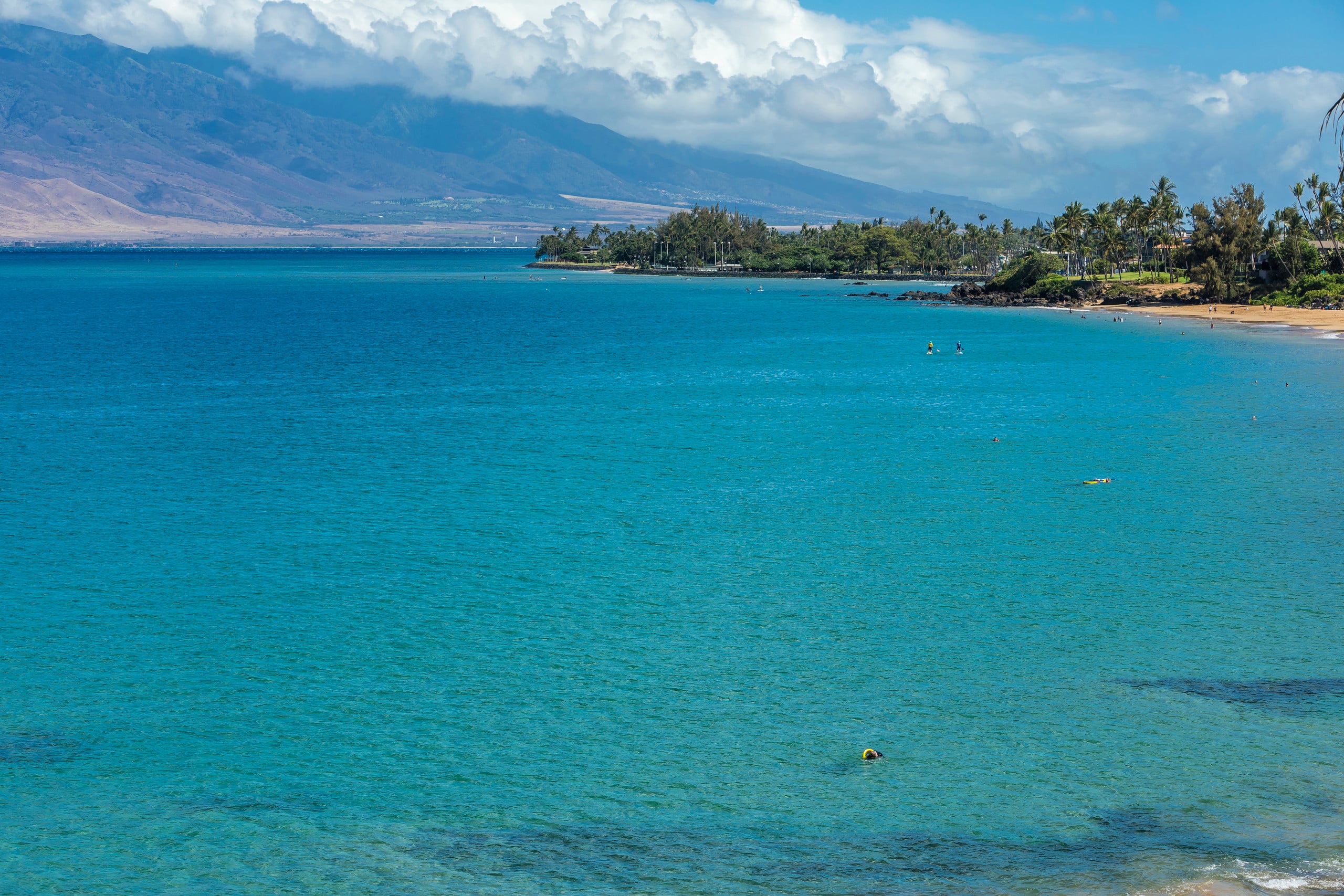 Condo in Kihei · ★5.0 · 2 bedrooms · 2 beds · 2 baths - Image 43