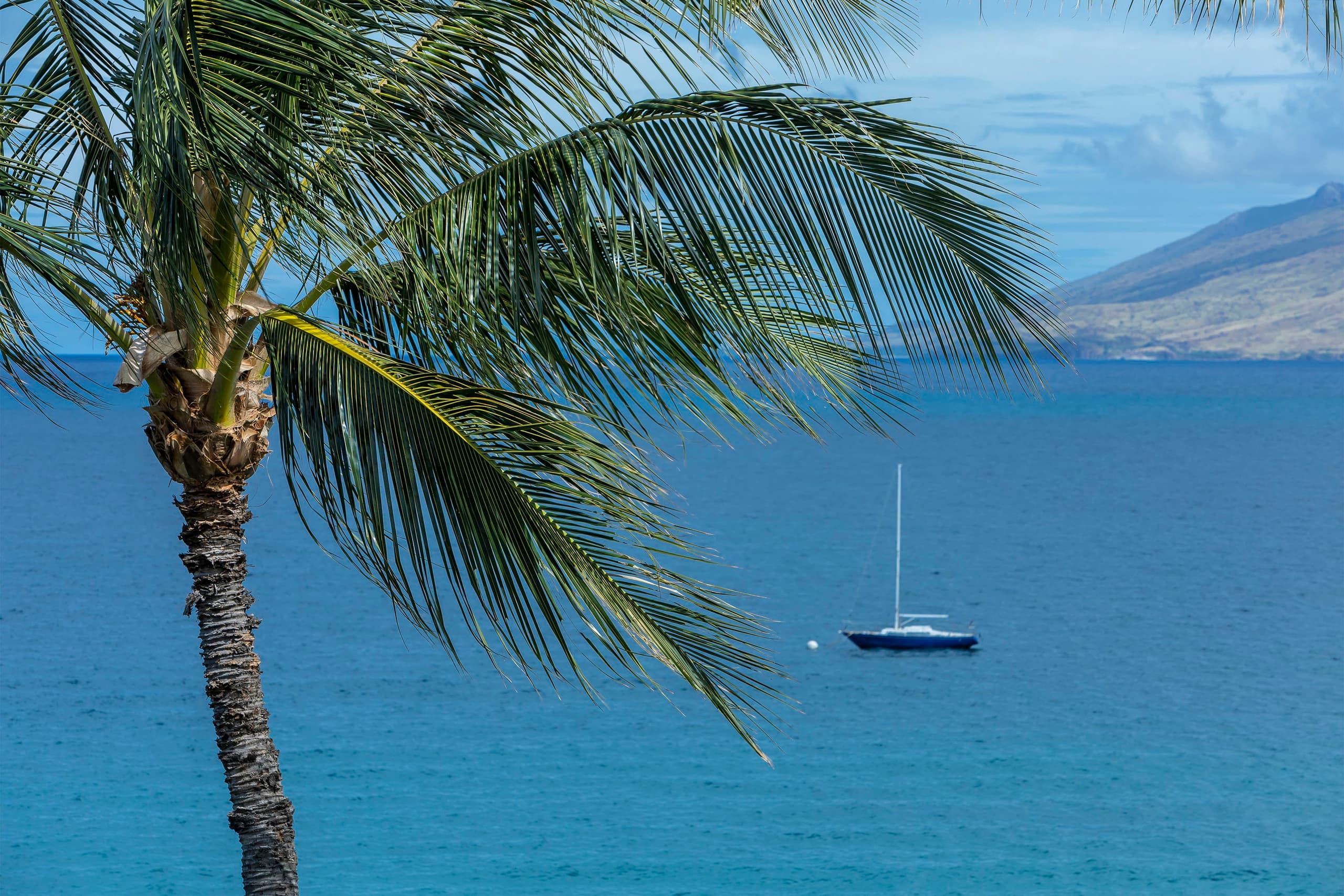 Condo in Kihei · ★5.0 · 2 bedrooms · 2 beds · 2 baths - Image 44